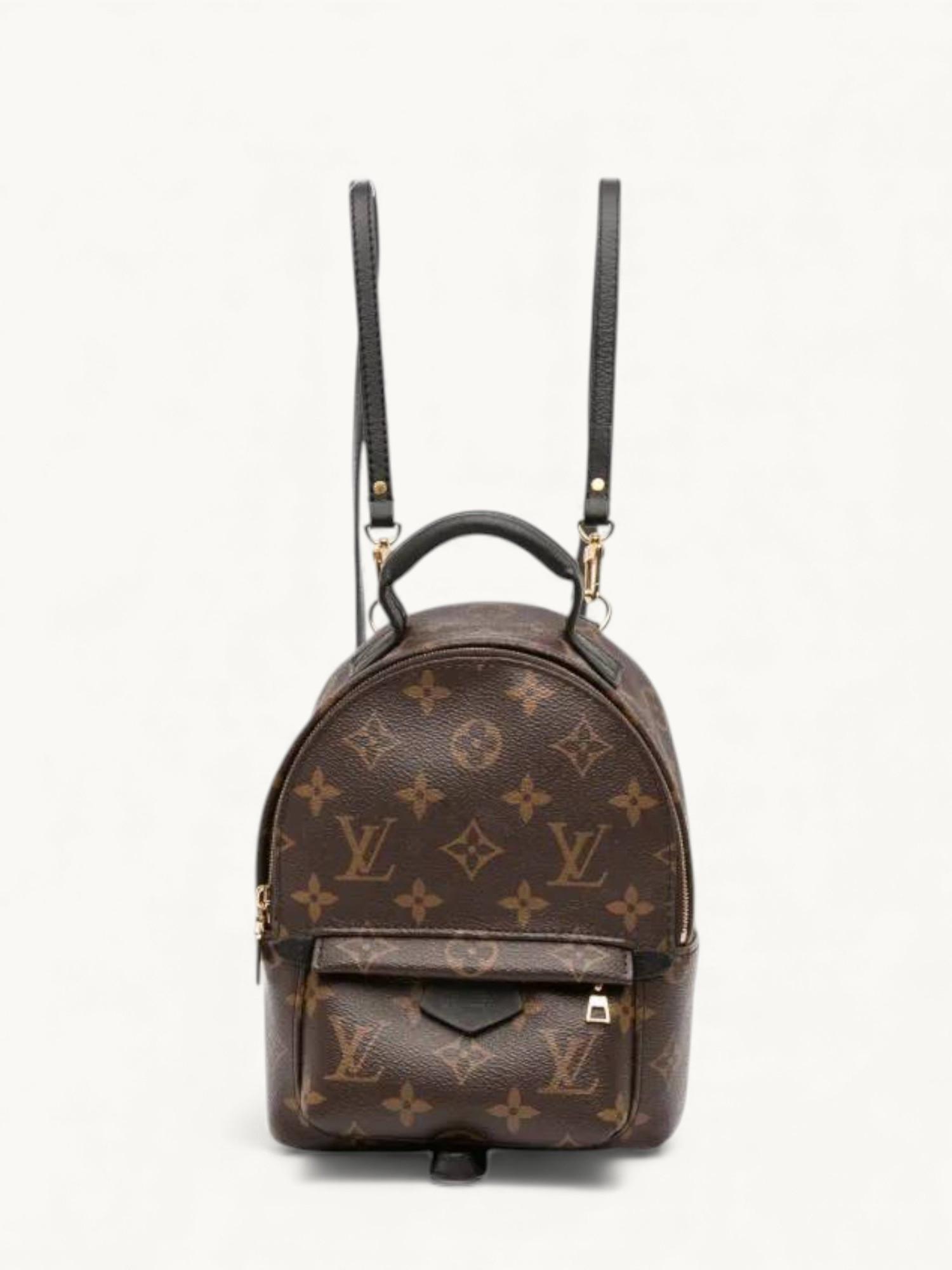 Louis Vuitton Palm Springs , фото 2