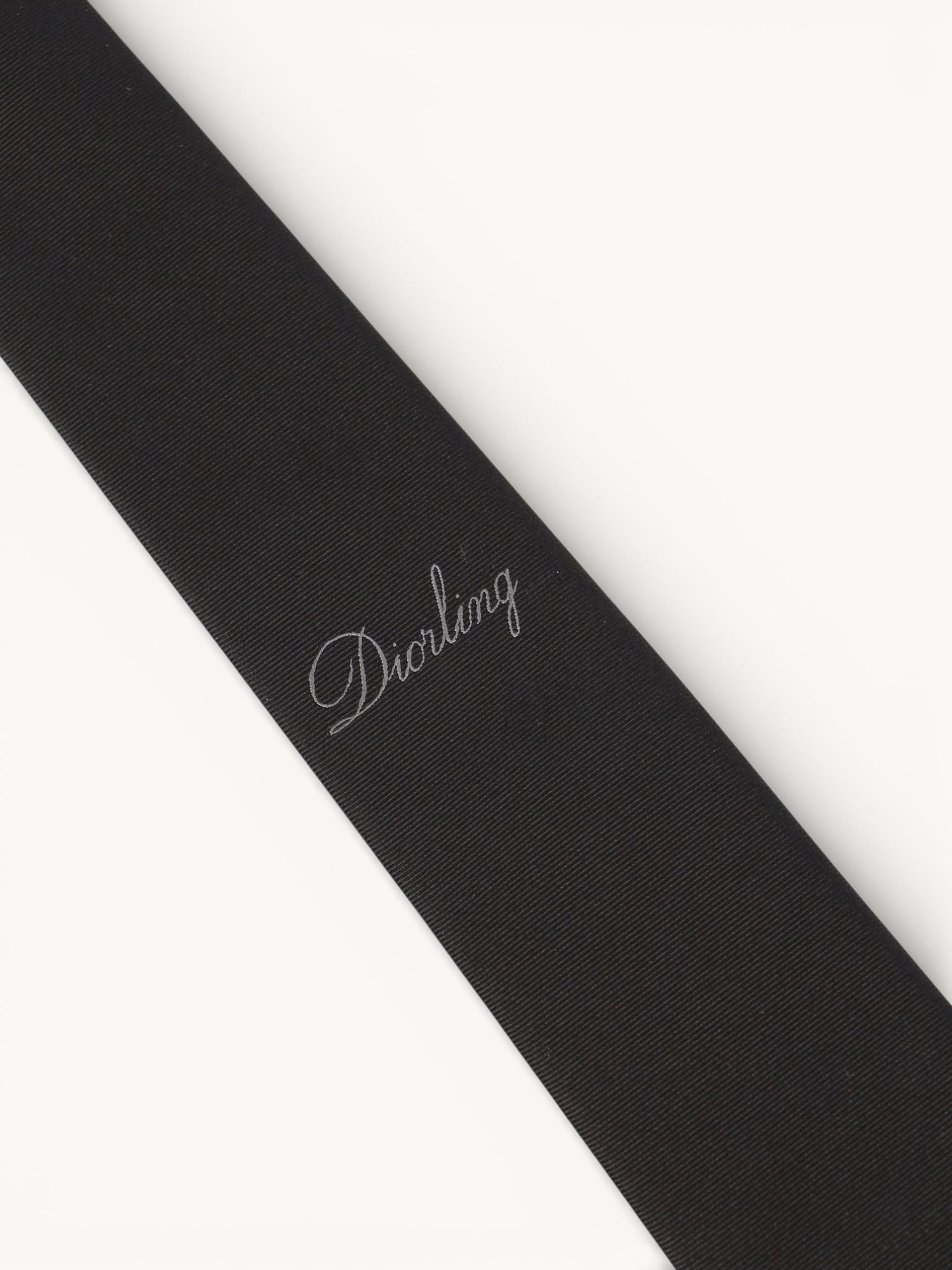 Dior Tie , фото 4