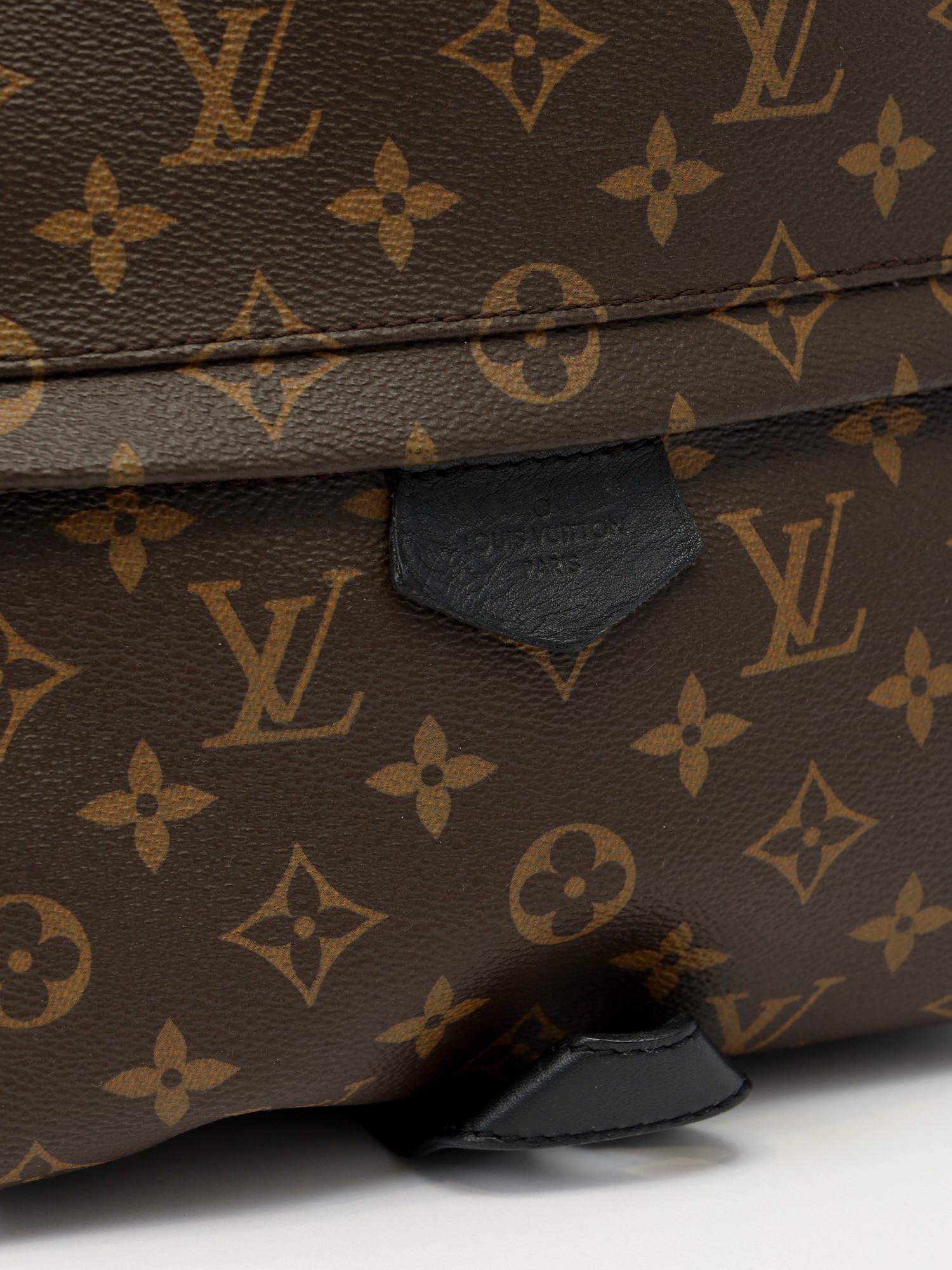 Louis Vuitton Palm Springs , фото 5