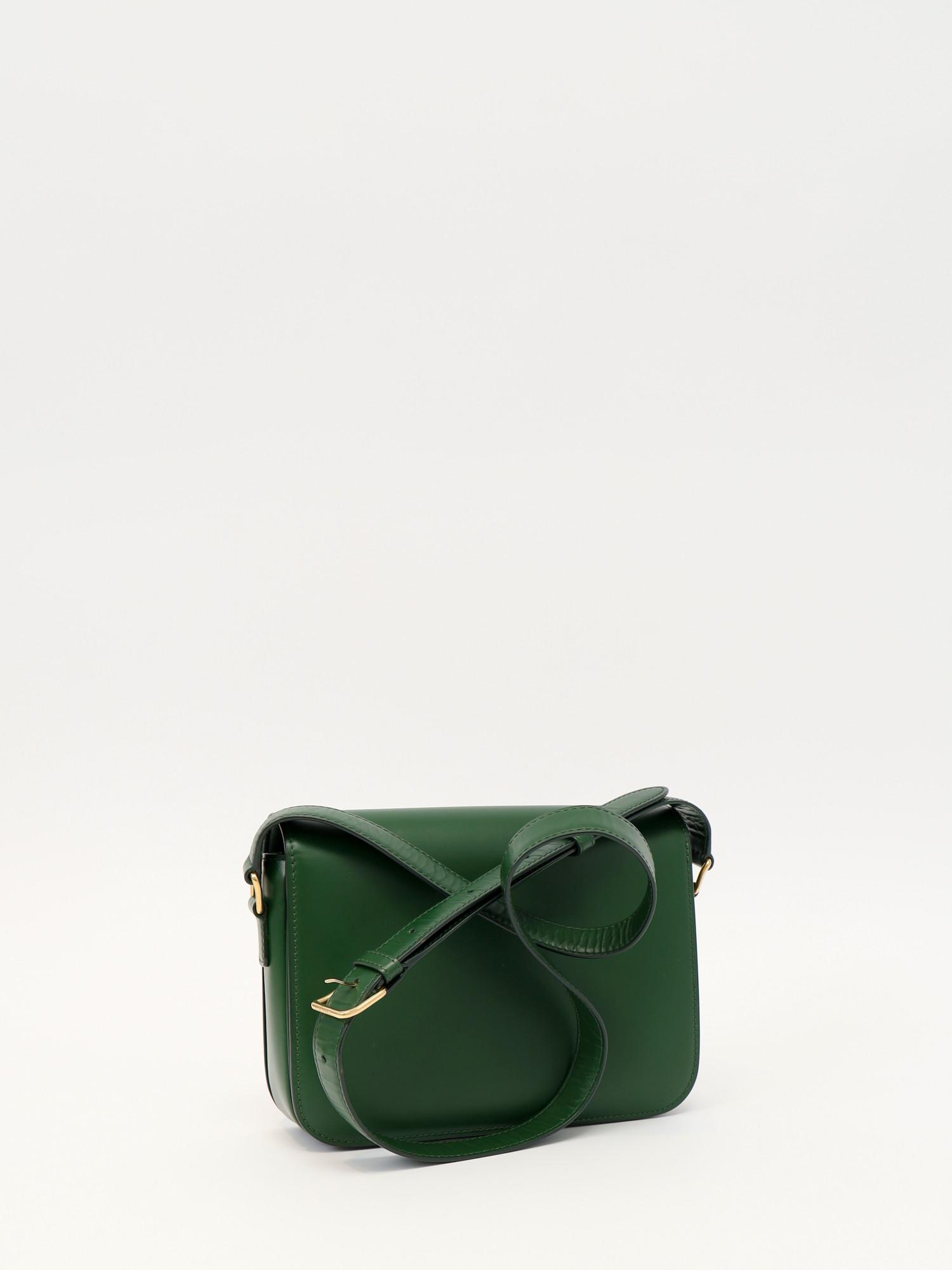 Celine Triomphe , фото 4