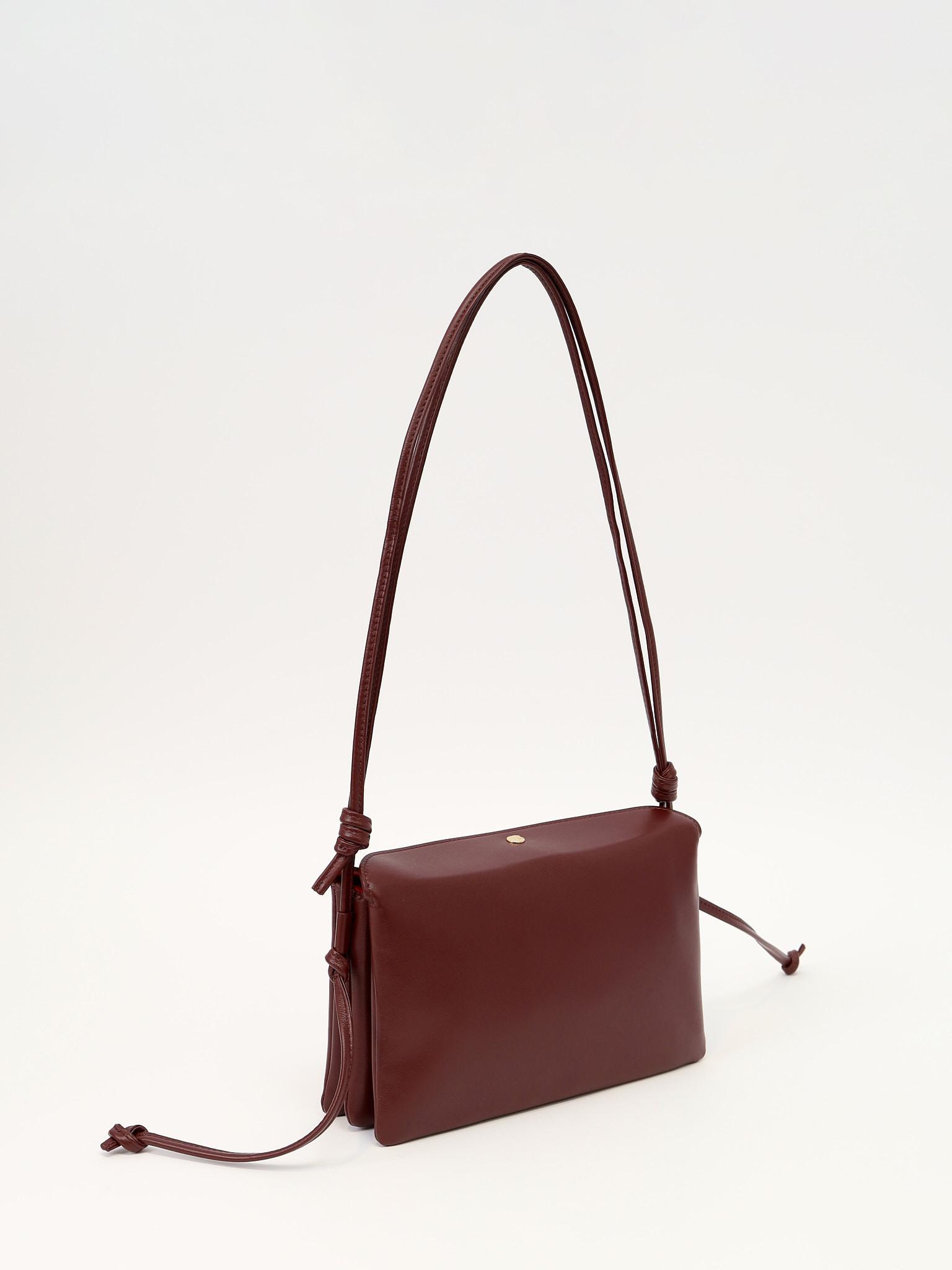 Celine Trio , фото 4