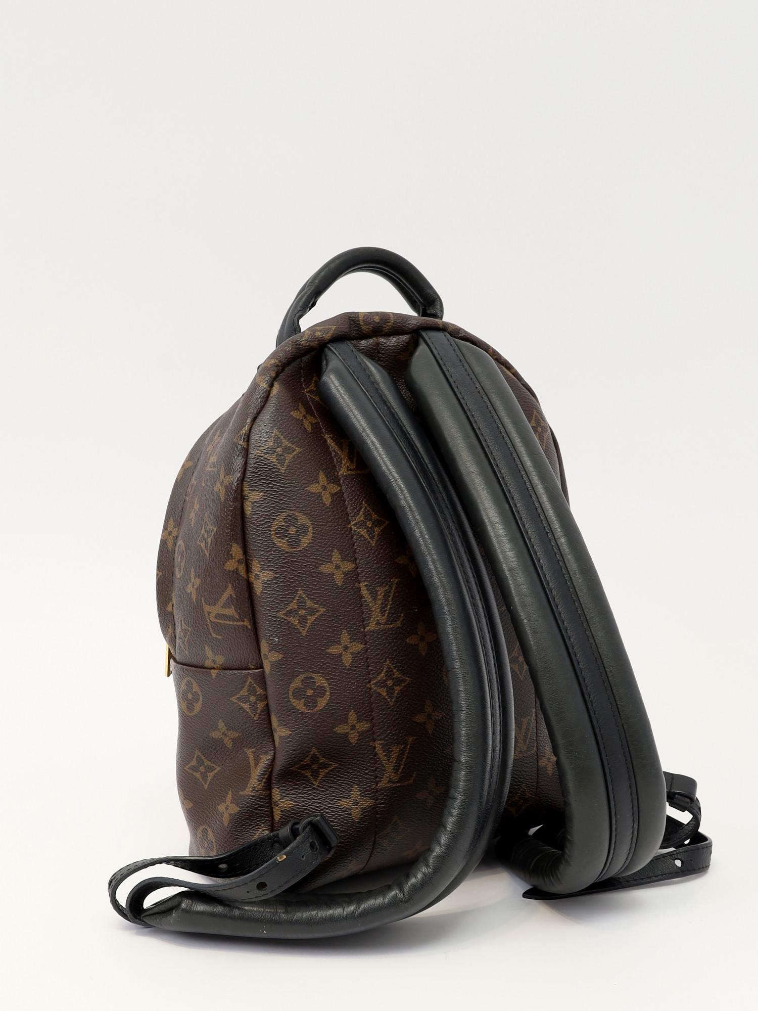 Louis Vuitton Palm Springs , фото 4