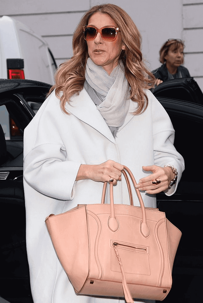 Селин Дион с Céline Phantom Luggage