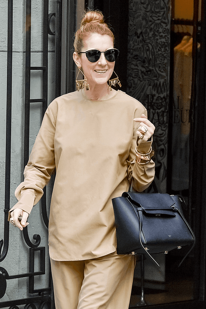 Селин Дион с Céline Belt Bag