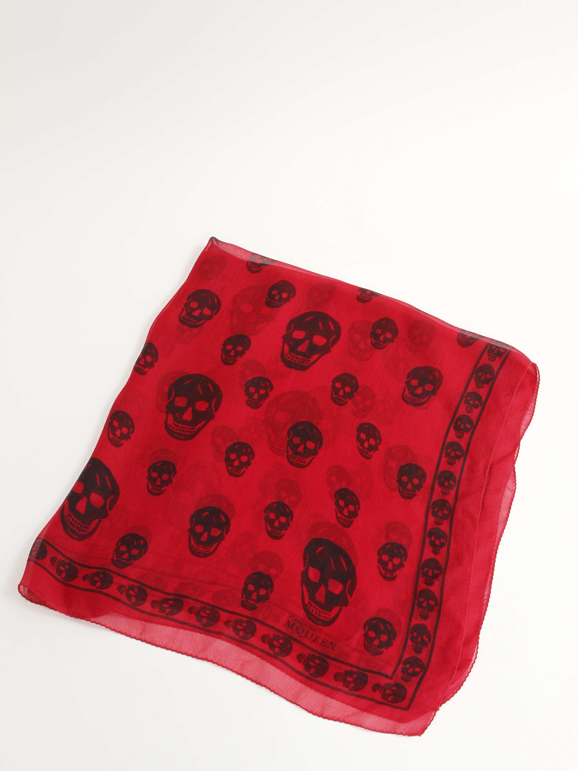 Alexander Mcqueen Scarf, фото 1