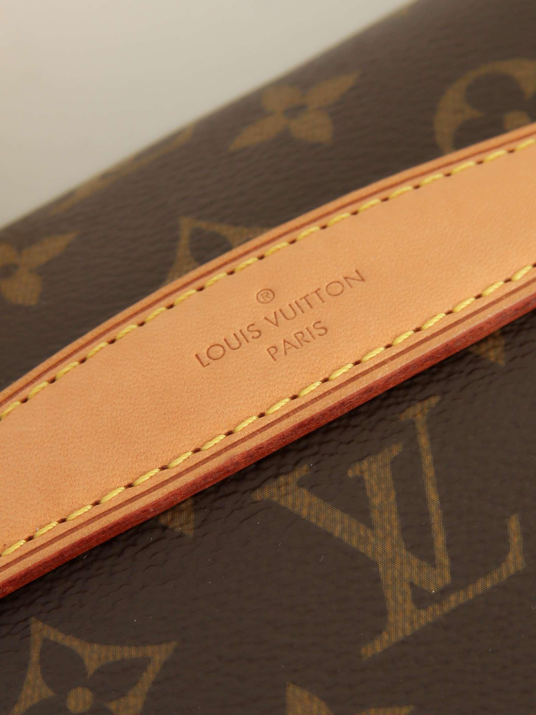 Louis Vuitton Bumbag, фото 5