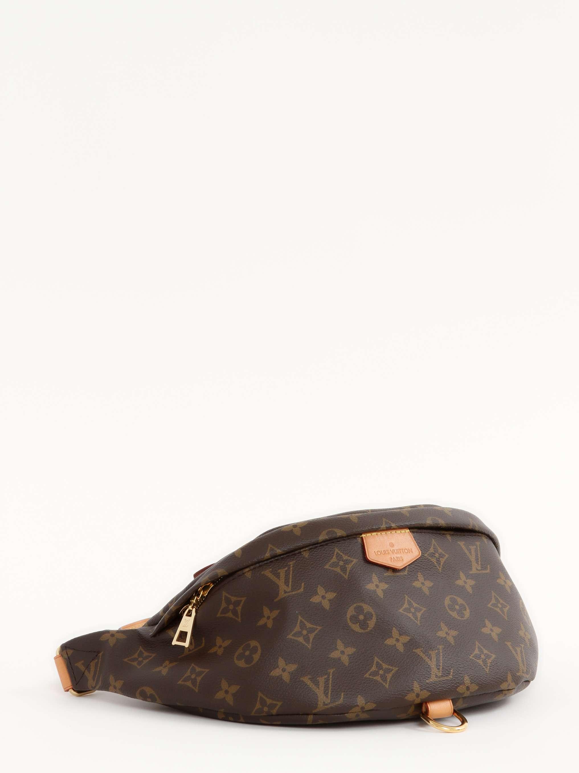 Louis Vuitton Bumbag, фото 2