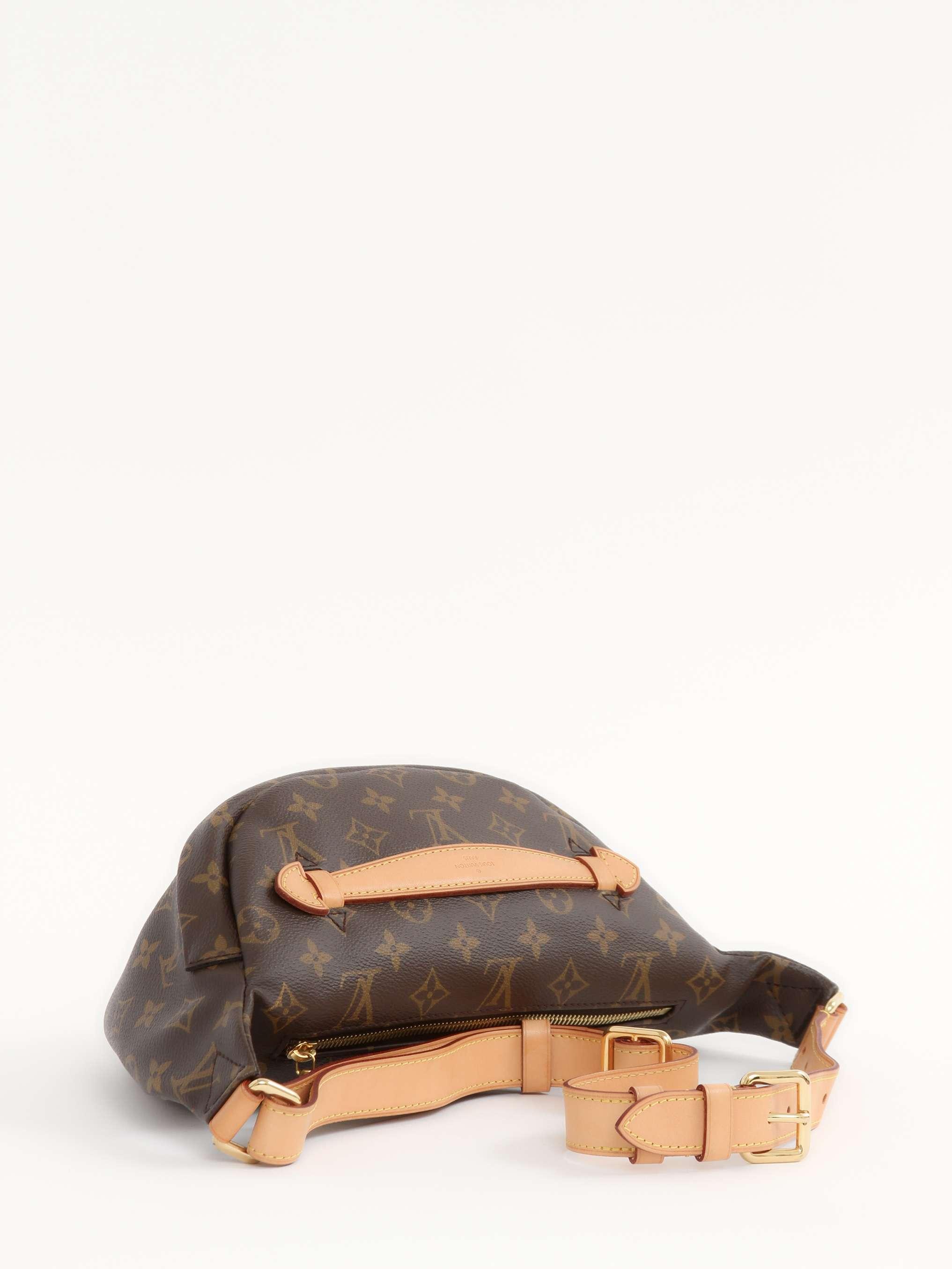 Louis Vuitton Bumbag, фото 3
