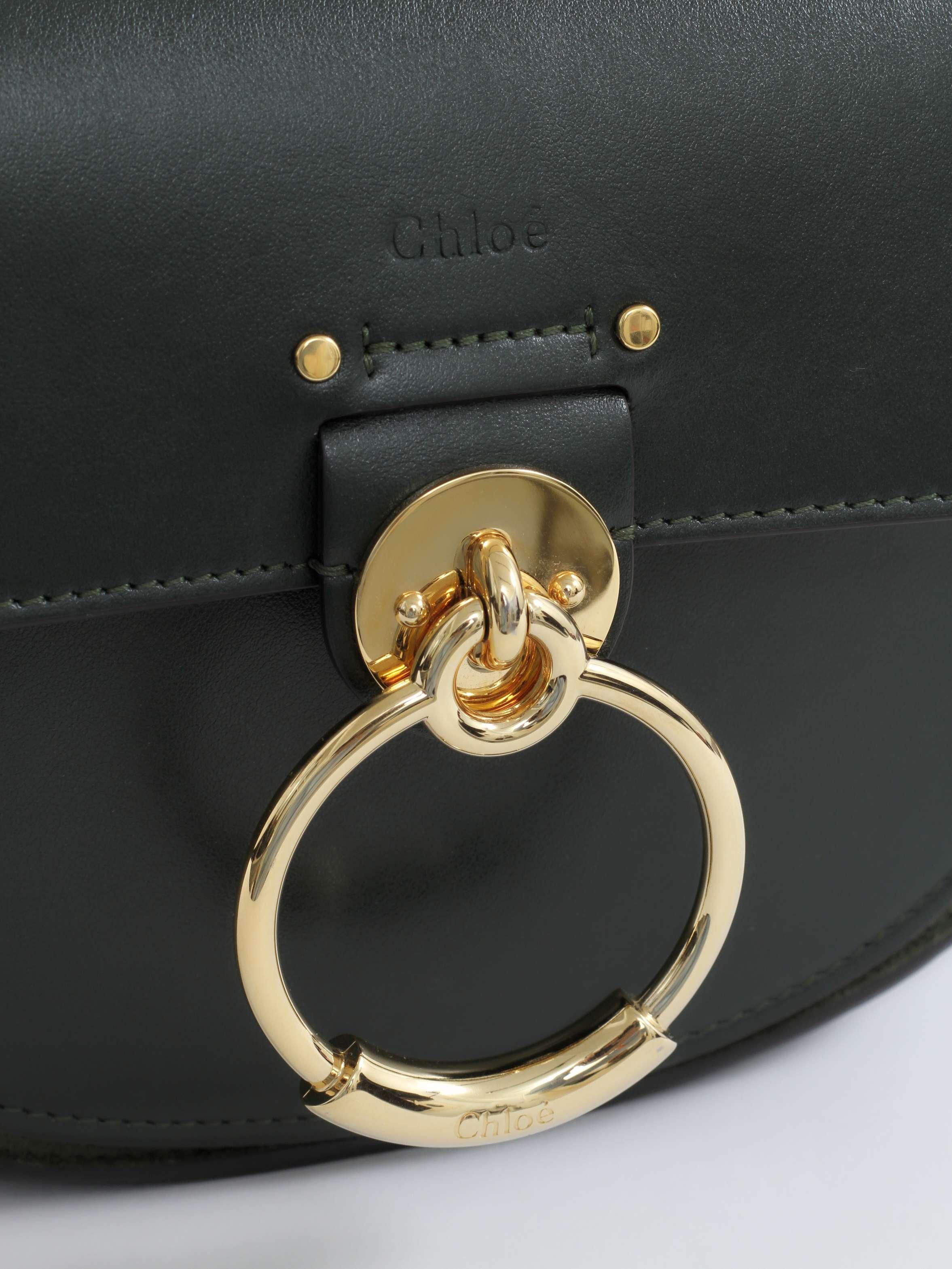 Chloe Tess, фото 4