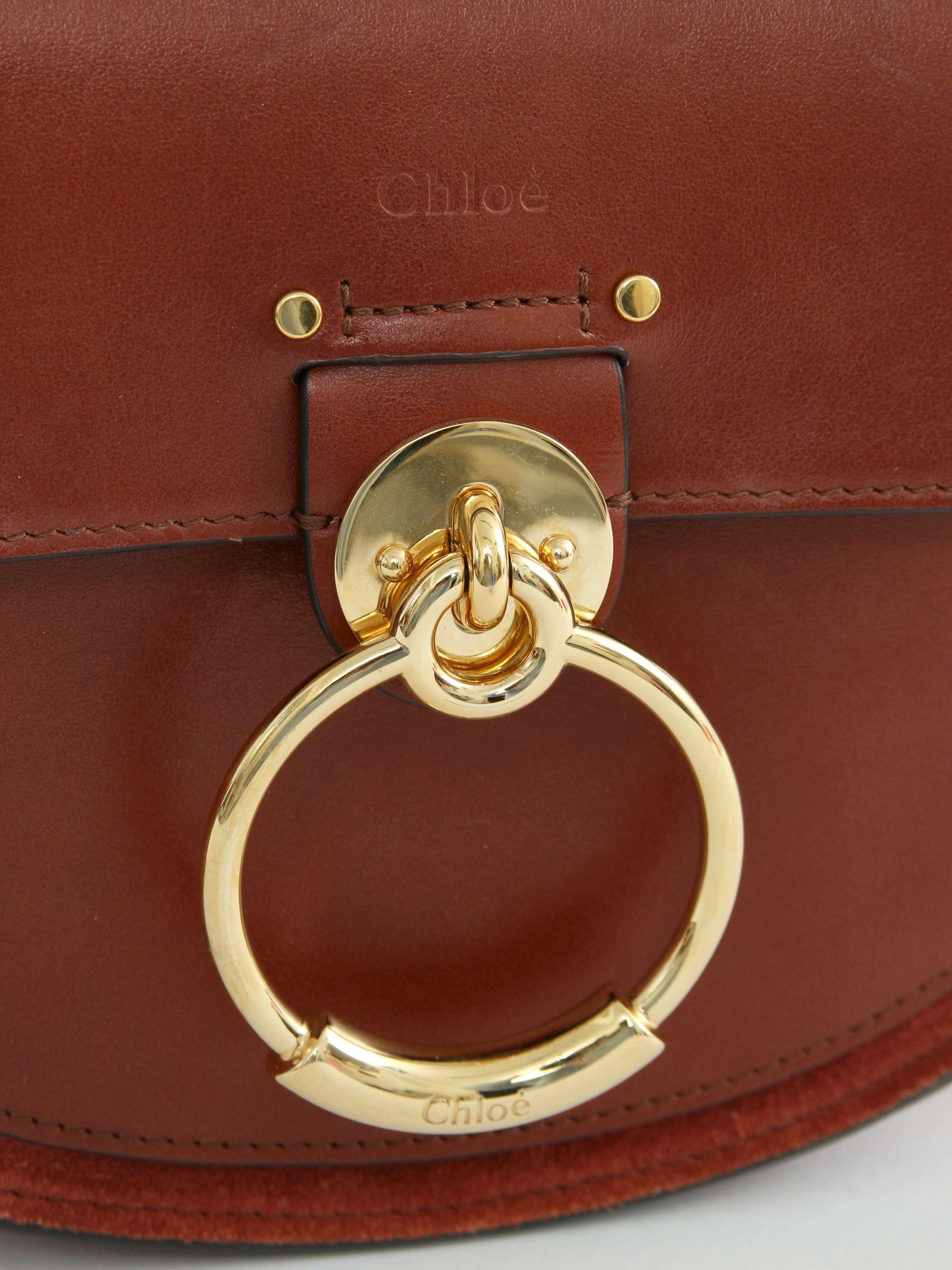 Chloe Tess, фото 4