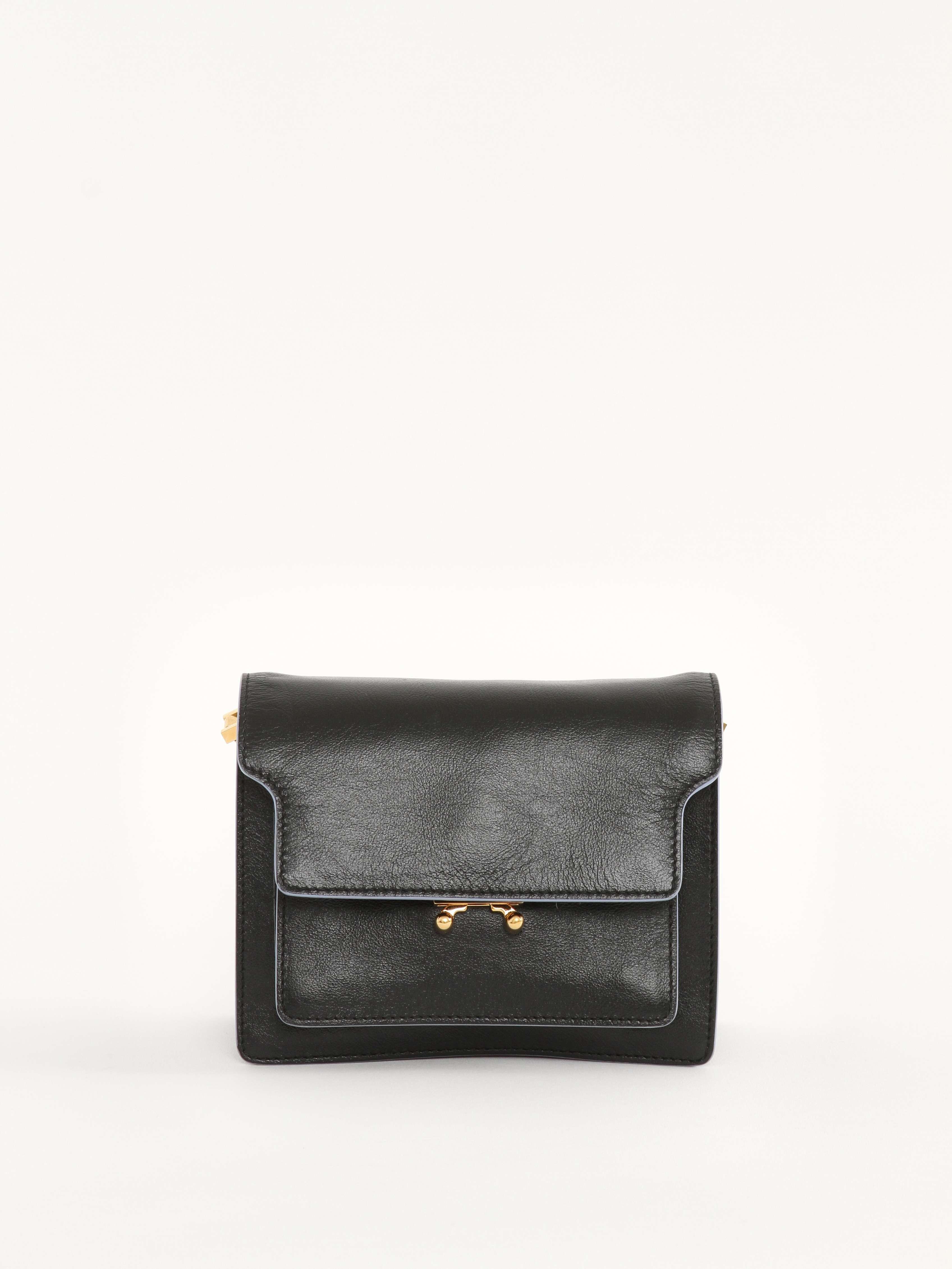 Marni Trunk, фото 1