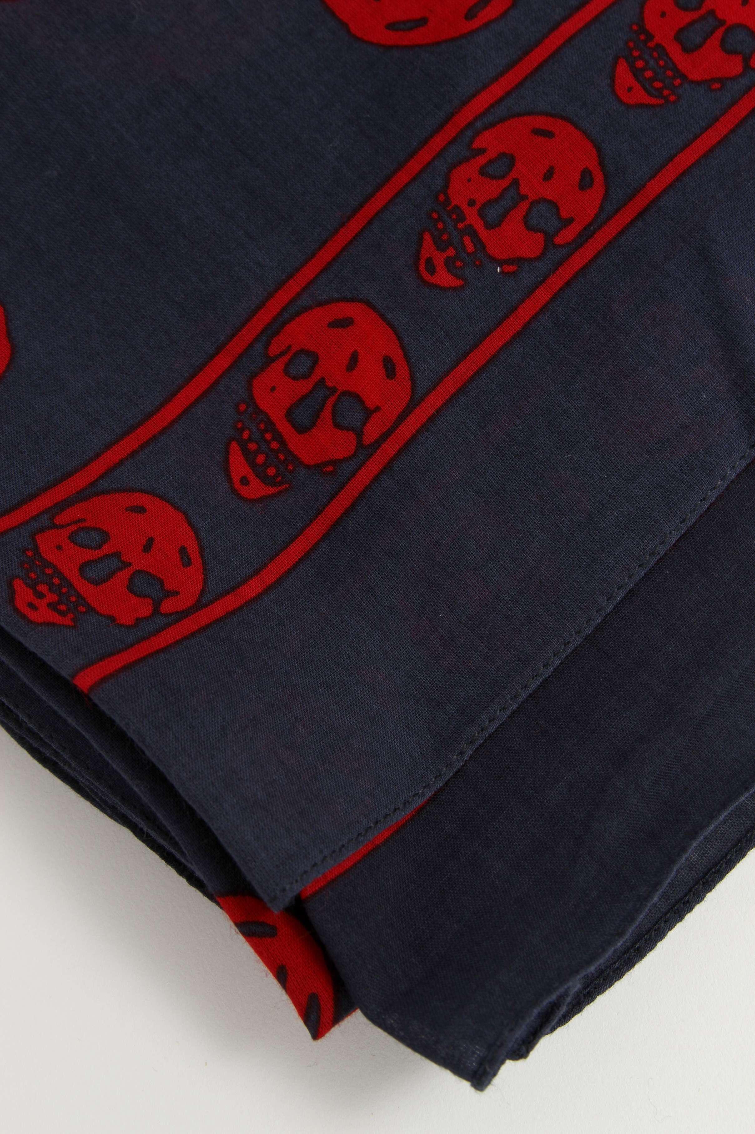 Alexander Mcqueen Scarf, фото 2