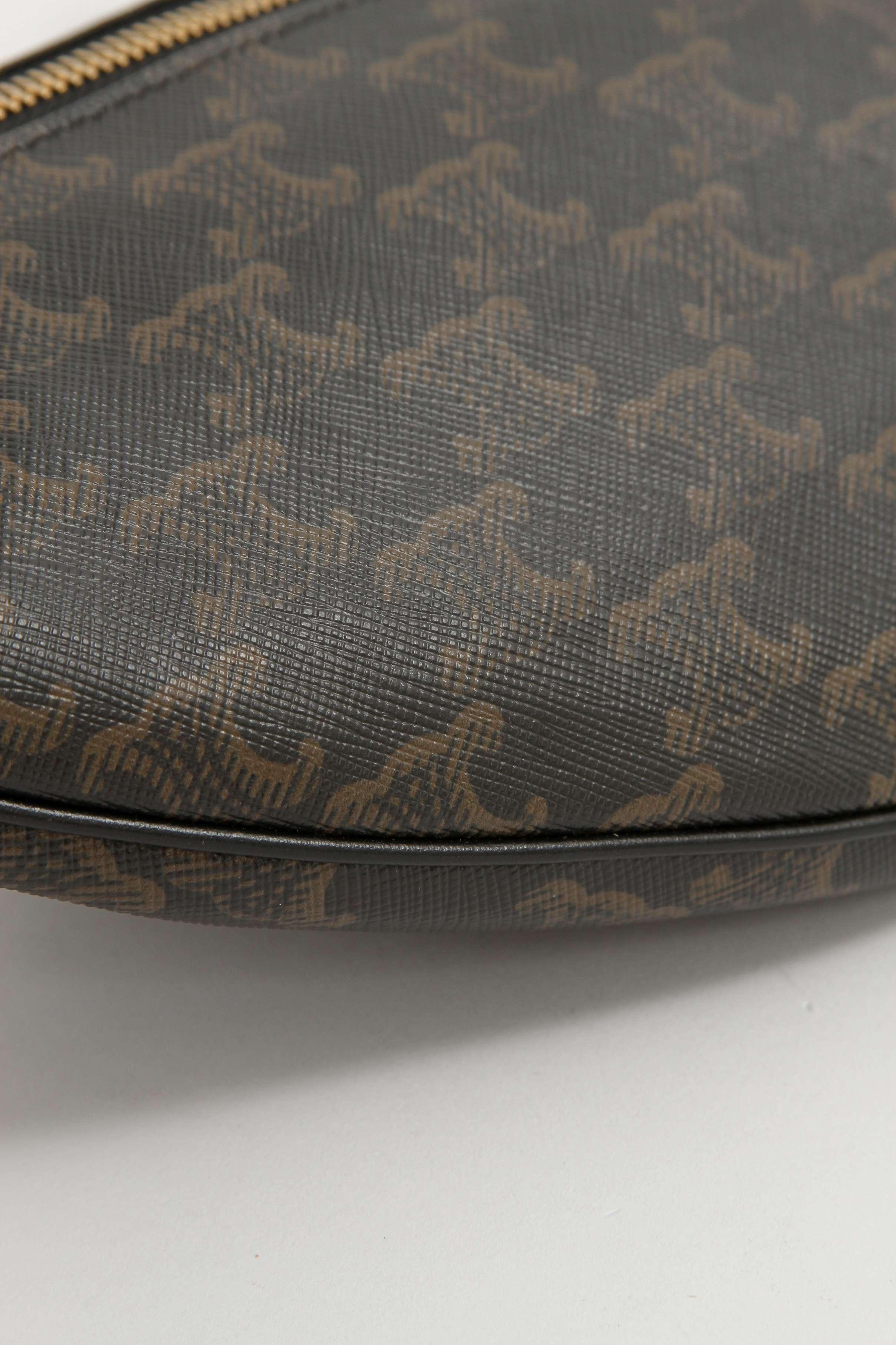 Celine Belt, фото 4