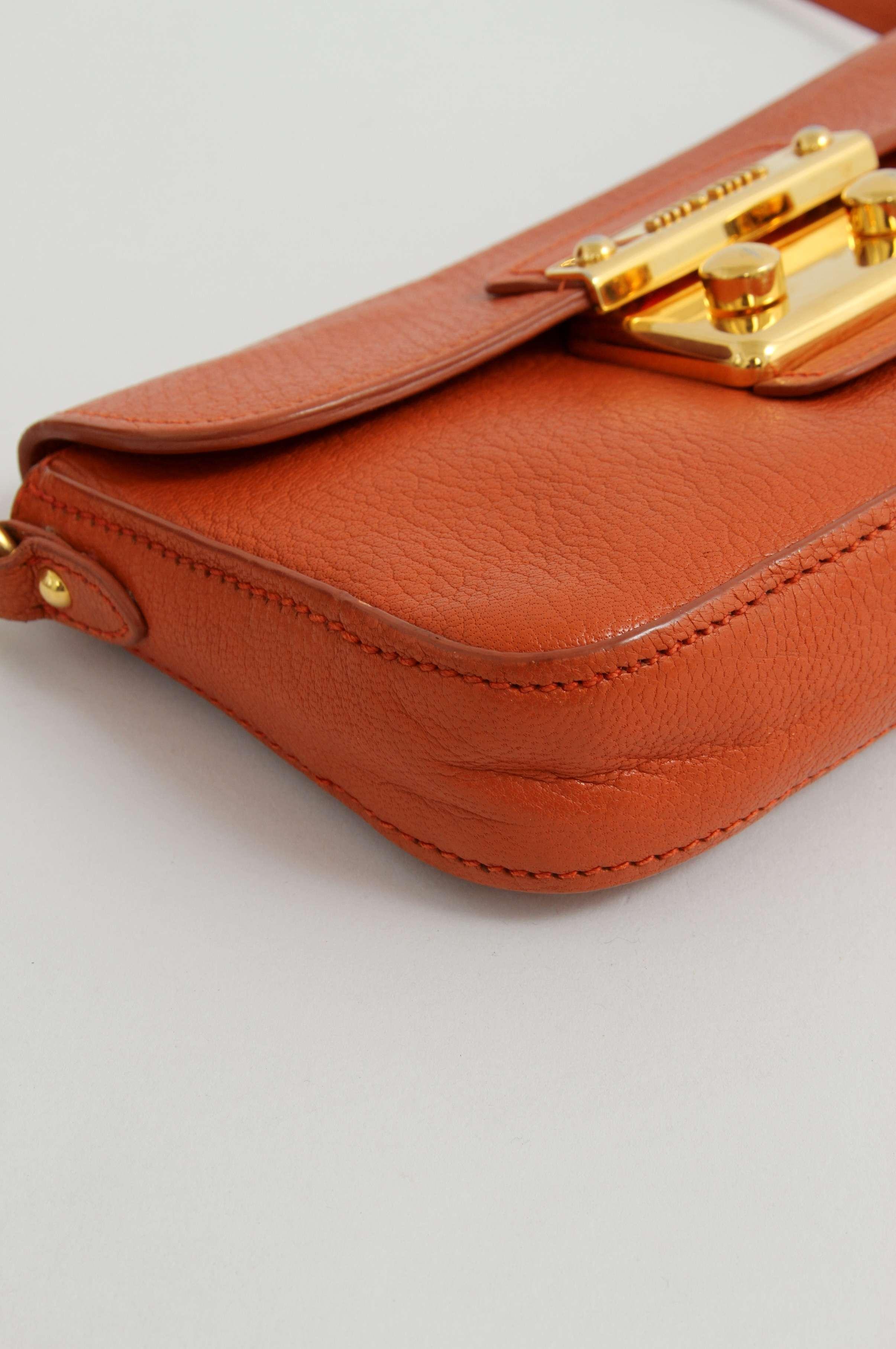 Miu Miu Leather Bag, фото 5
