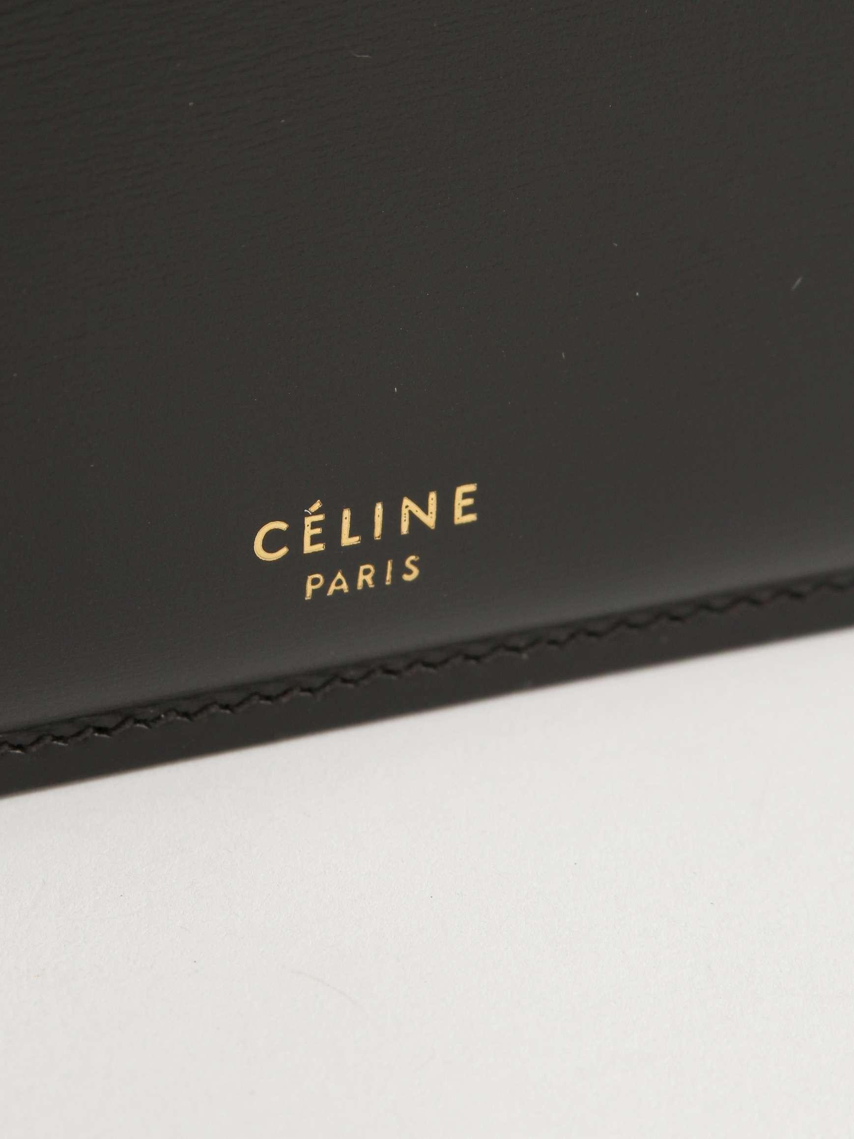 Celine Clasp, фото 4
