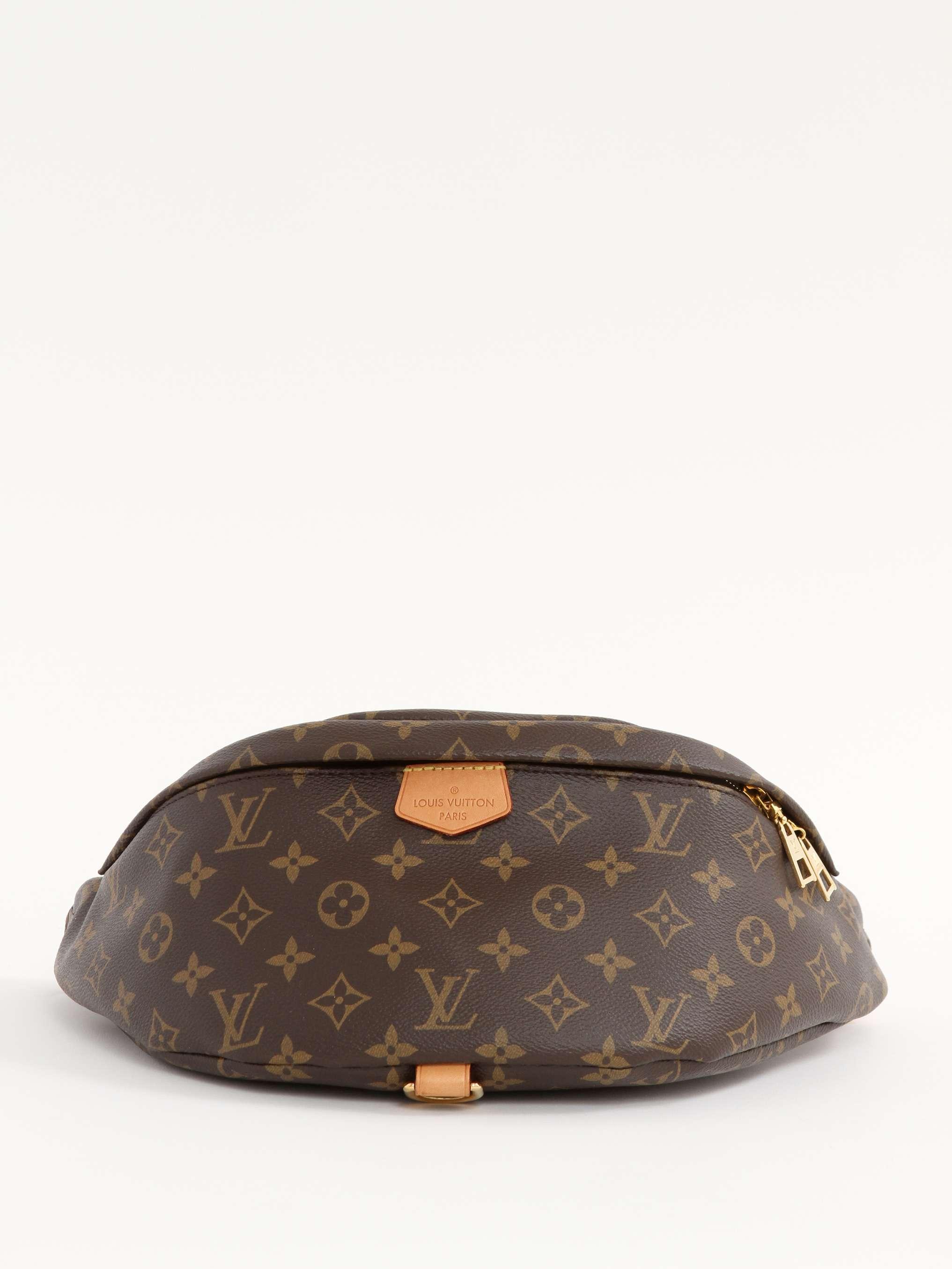 Louis Vuitton Bumbag, фото 1