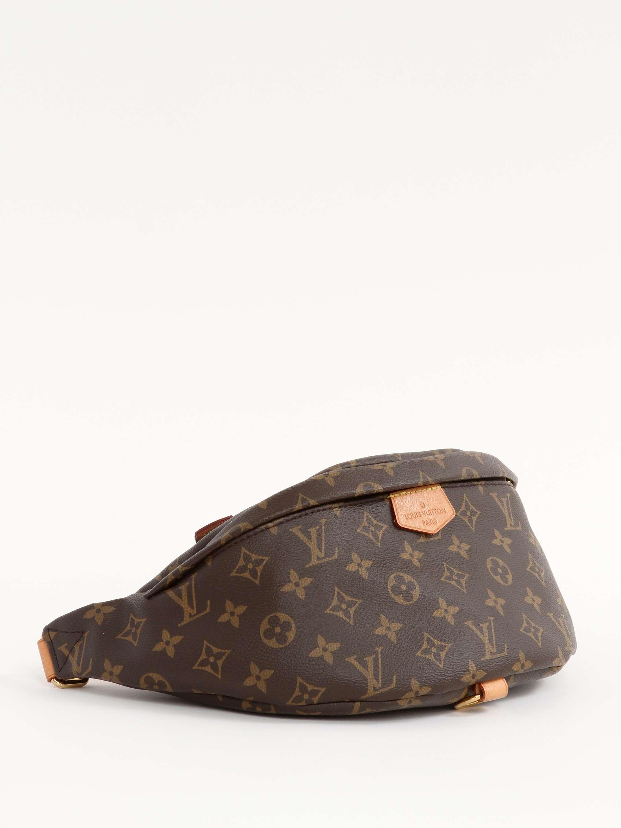 Louis Vuitton Bumbag, фото 2