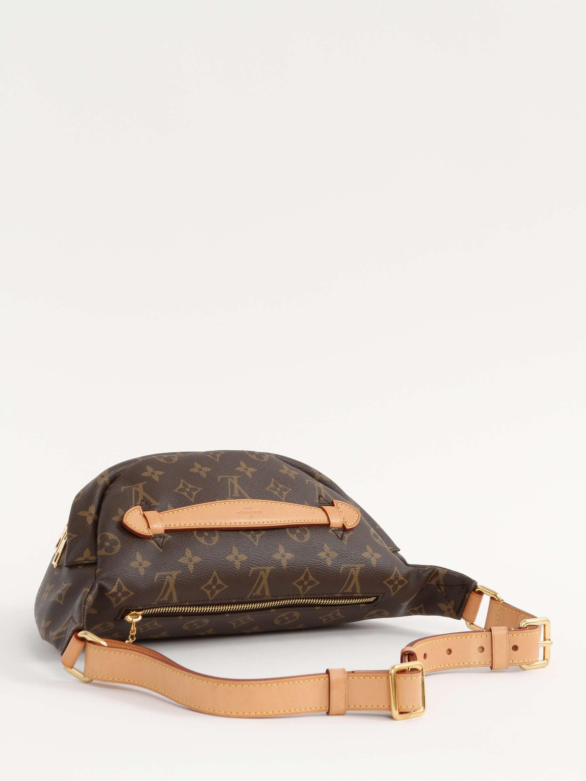 Louis Vuitton Bumbag, фото 3