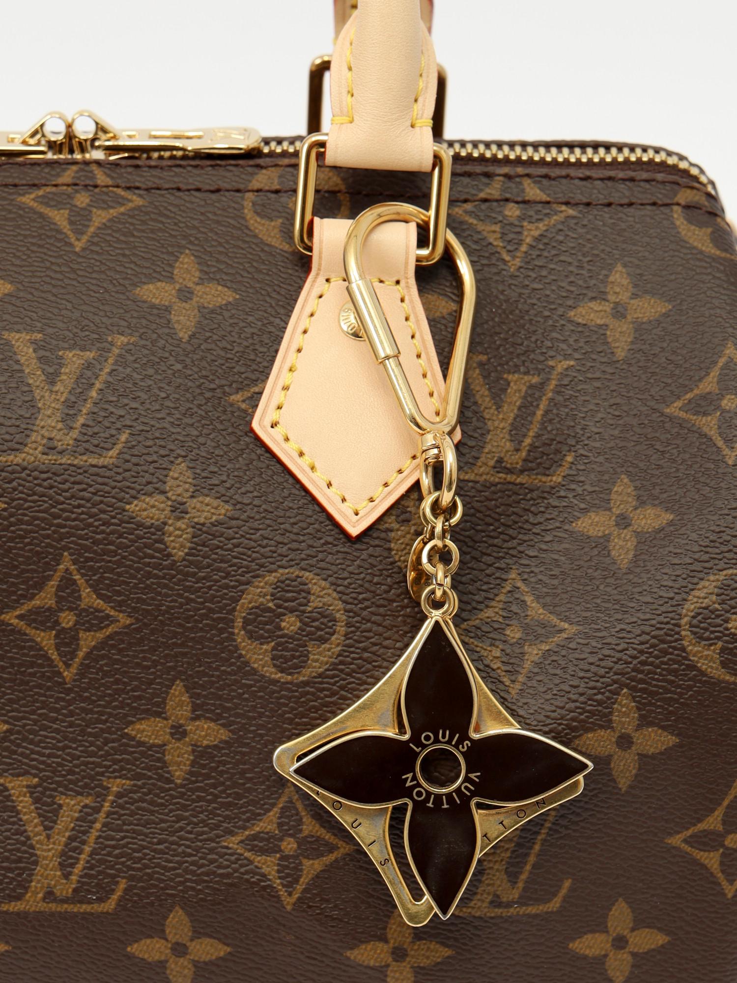 Louis Vuitton , фото 2