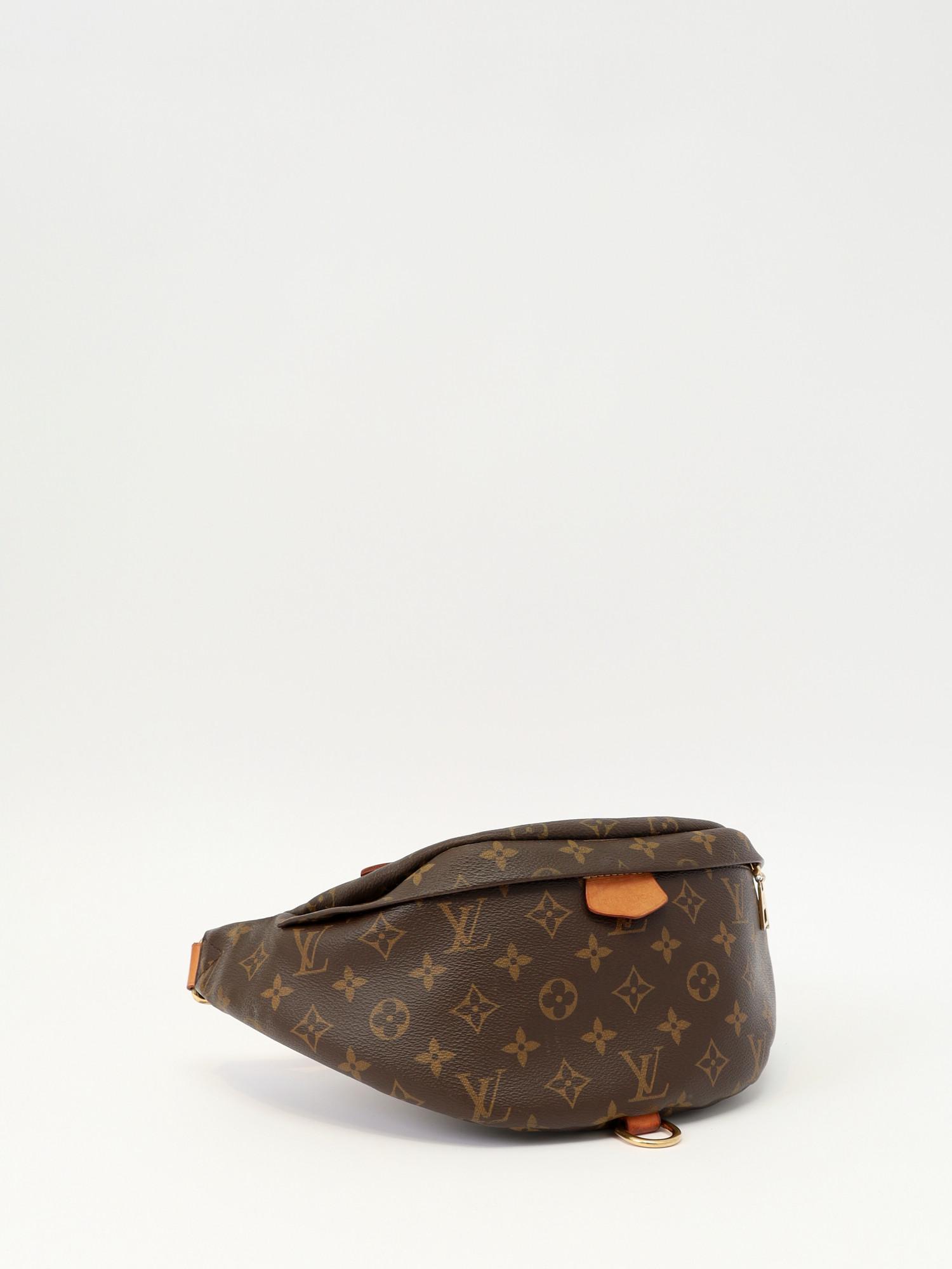 Louis Vuitton Bumbag , фото 3