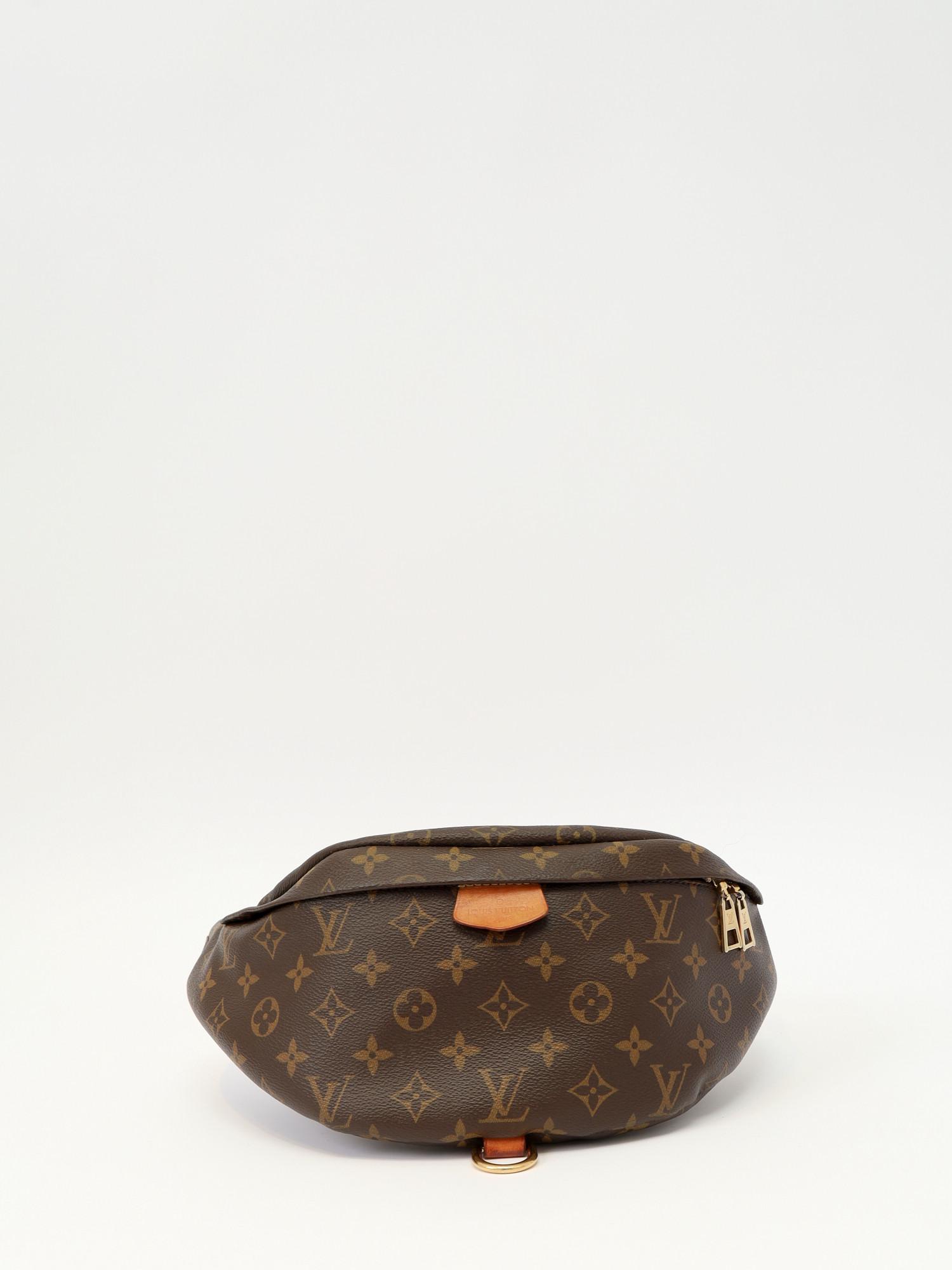 Louis Vuitton Bumbag , фото 1