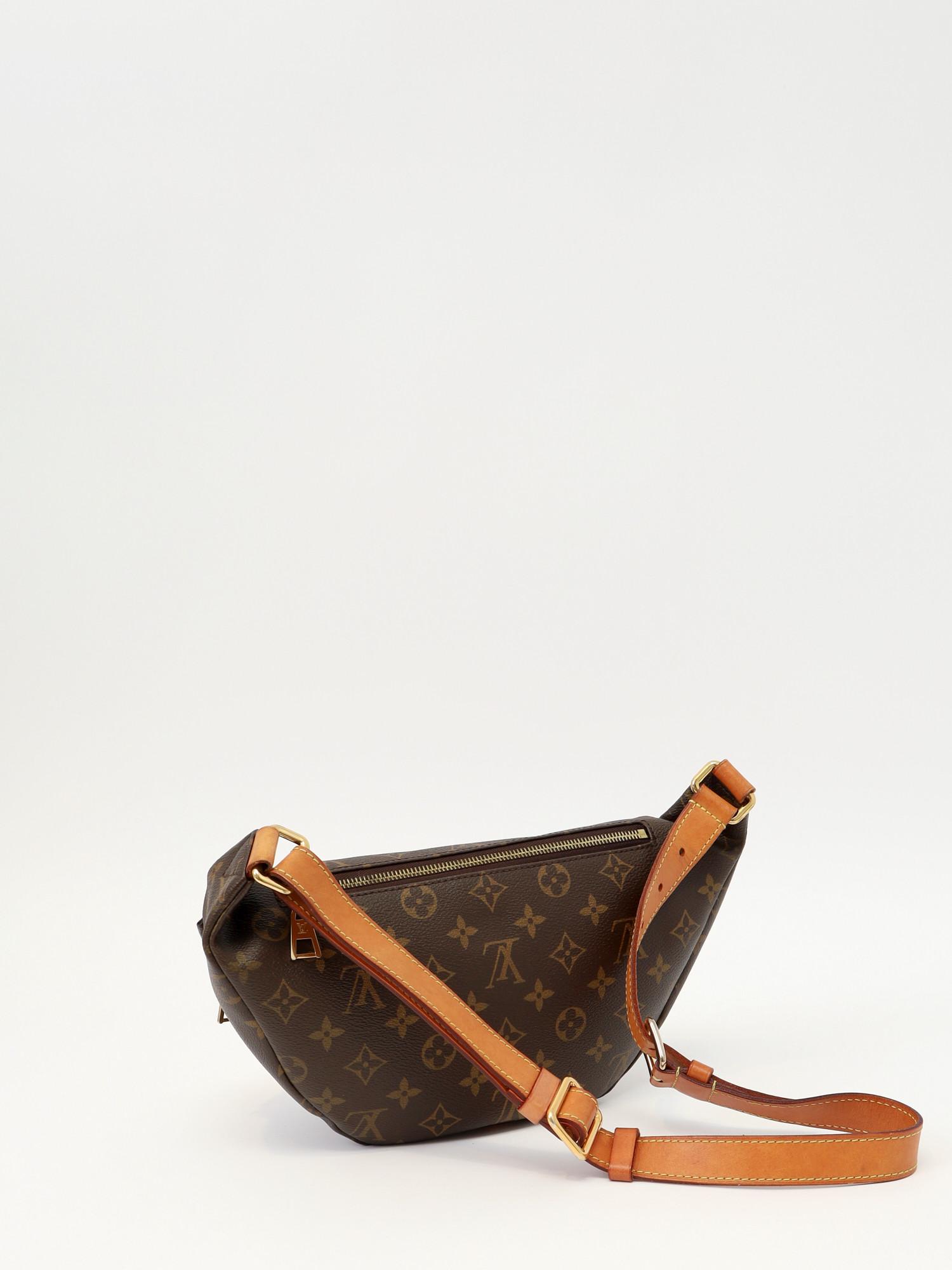 Louis Vuitton Bumbag , фото 4