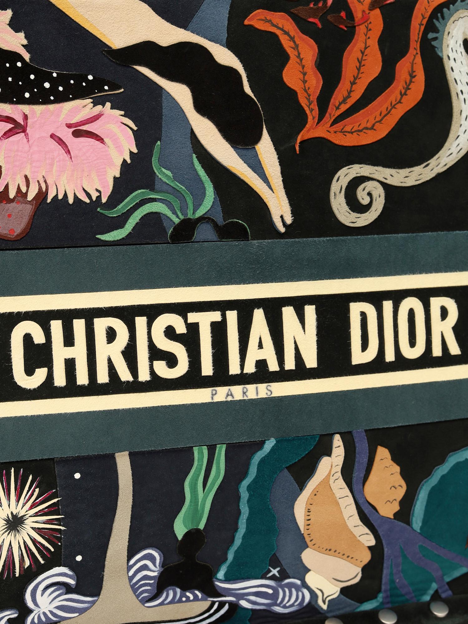 Dior Book Tote , фото 5