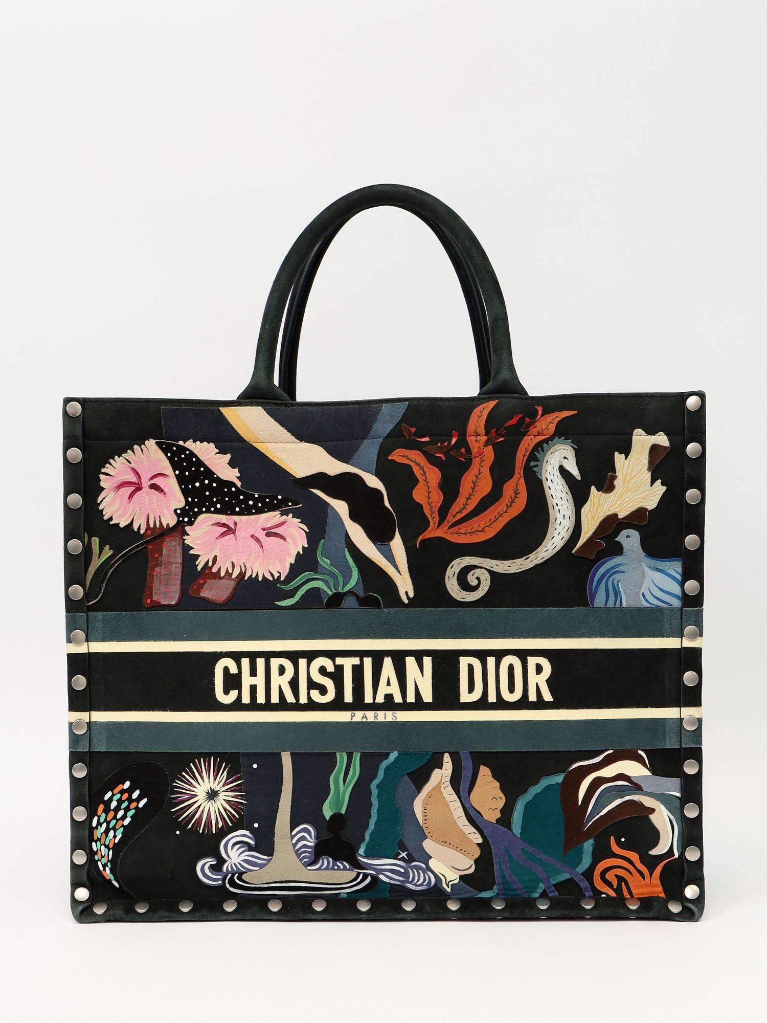 Dior Book Tote , фото 1