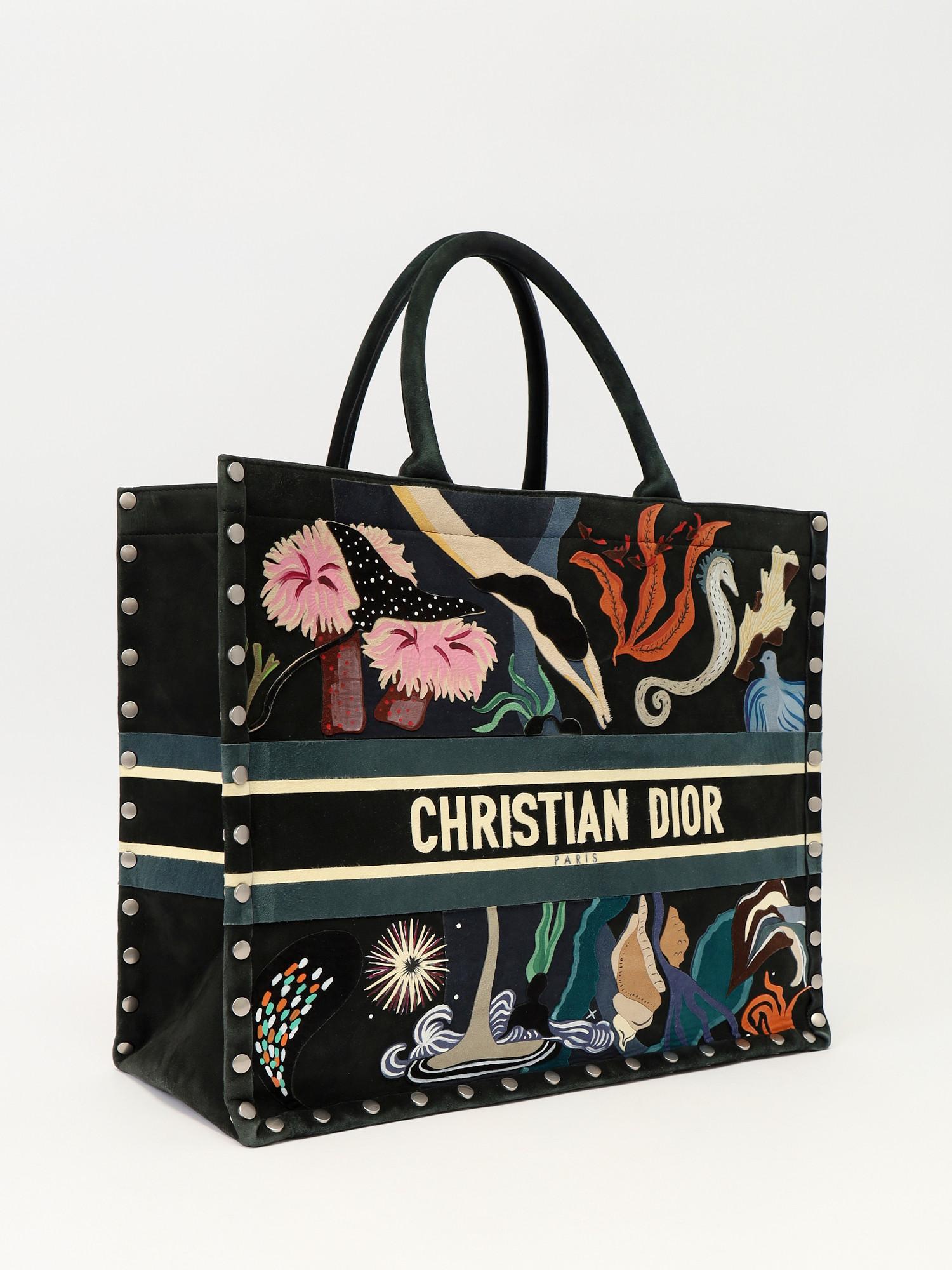 Dior Book Tote , фото 3