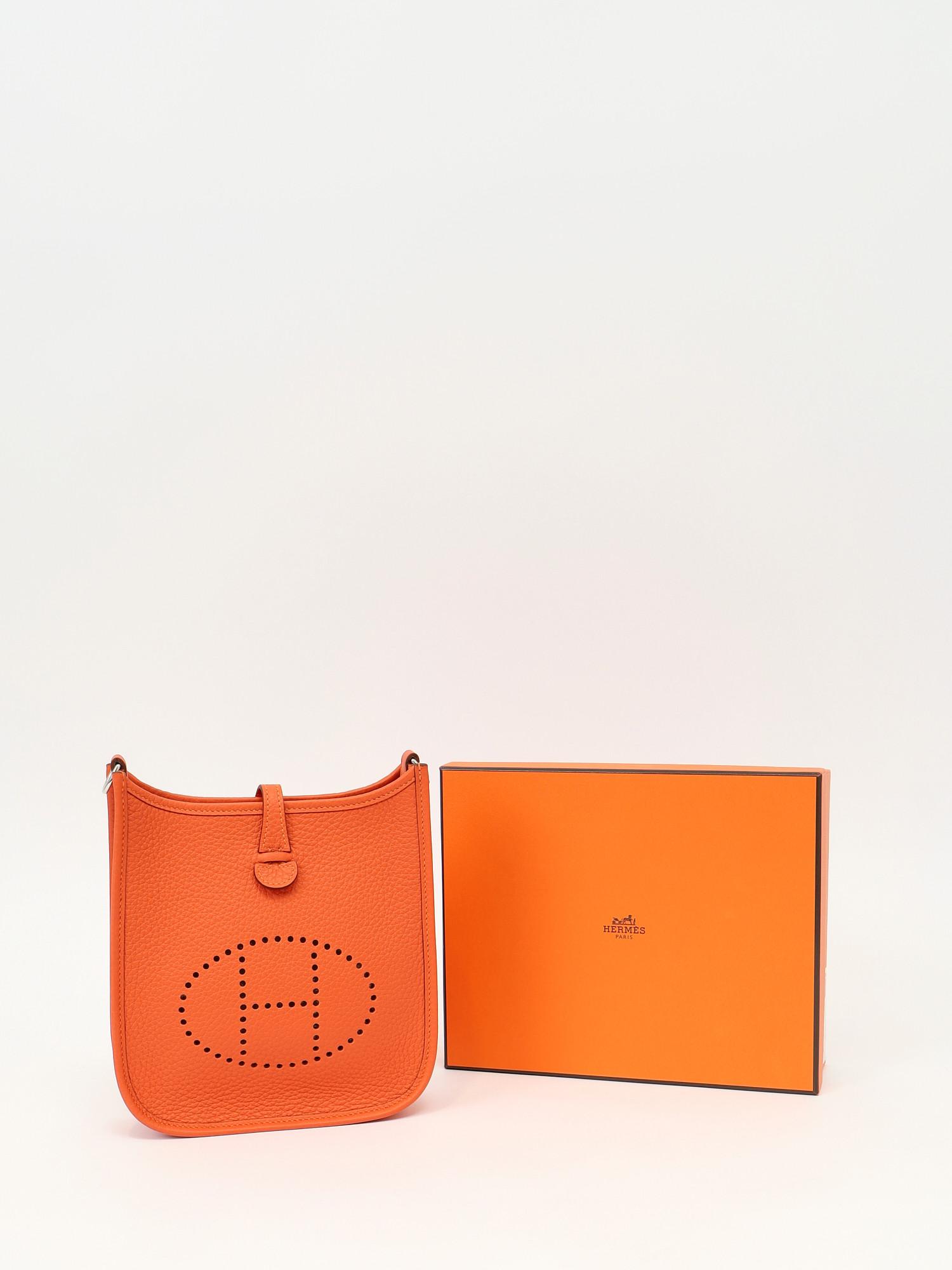 Hermes Evelyne 16, фото 5
