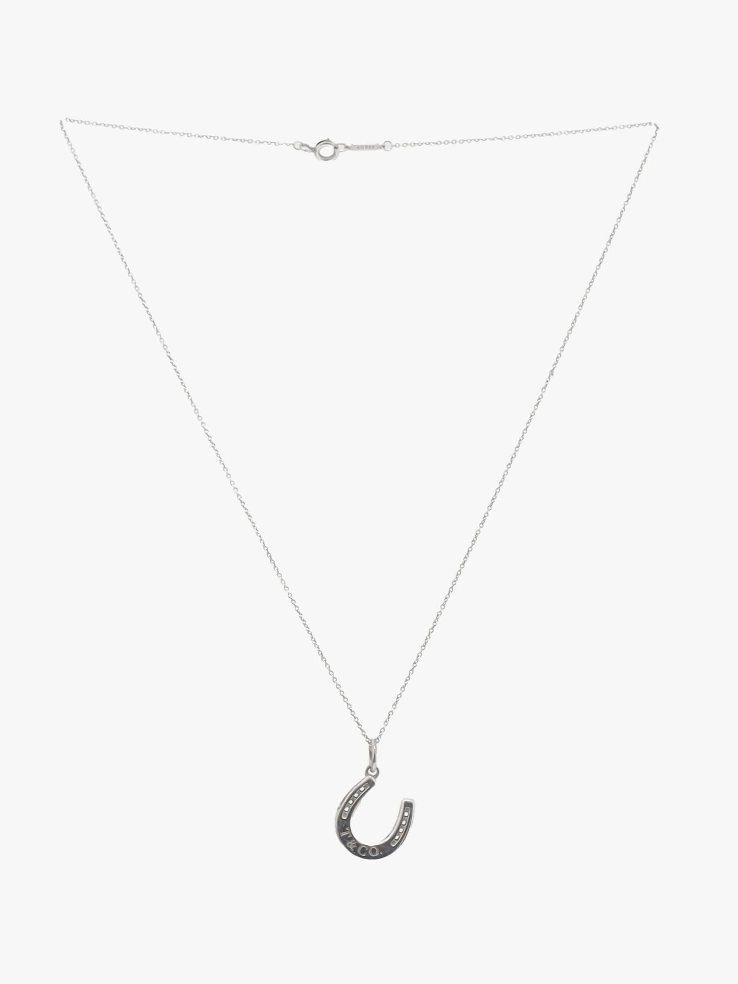 Tiffany & Co. Horseshoe , фото 1