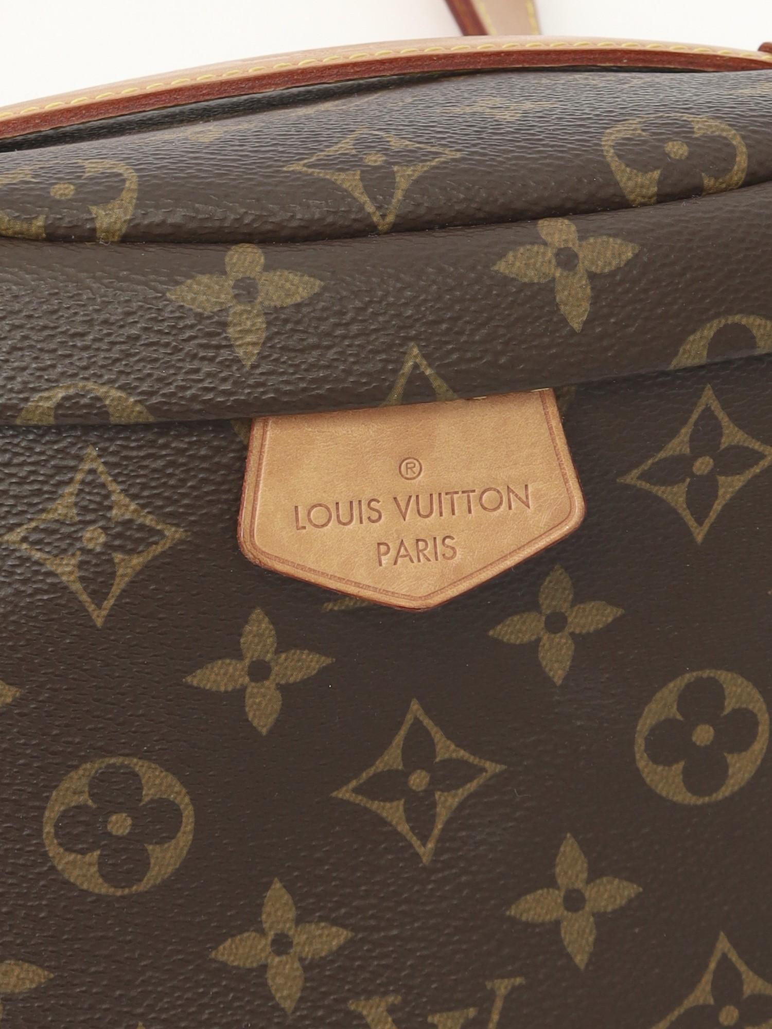 Louis Vuitton Bumbag , фото 5