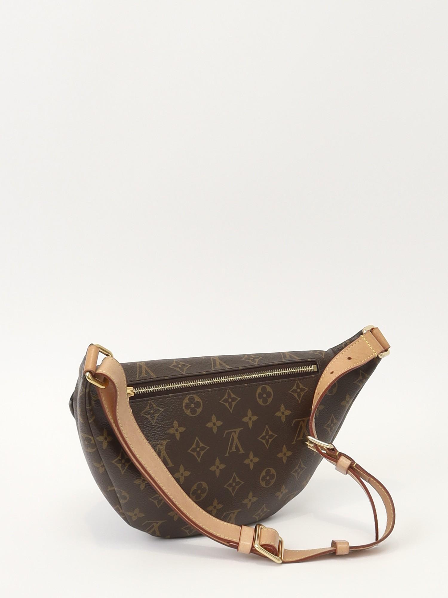 Louis Vuitton Bumbag , фото 4