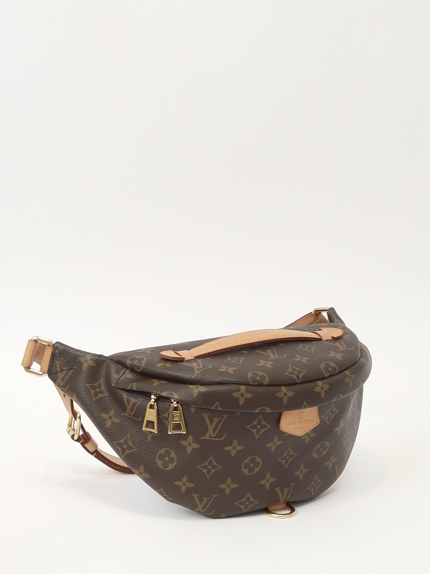 Louis Vuitton Bumbag , фото 3