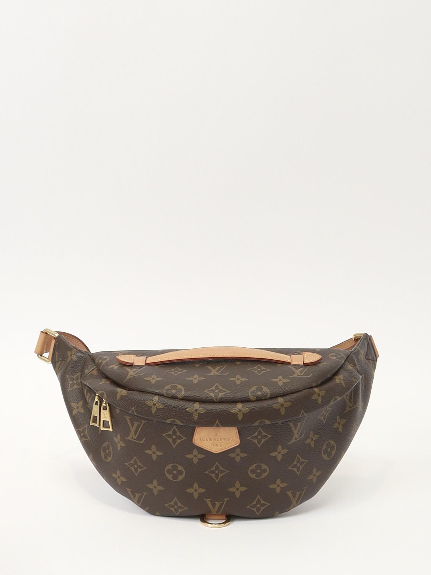 Louis Vuitton Bumbag , фото 1