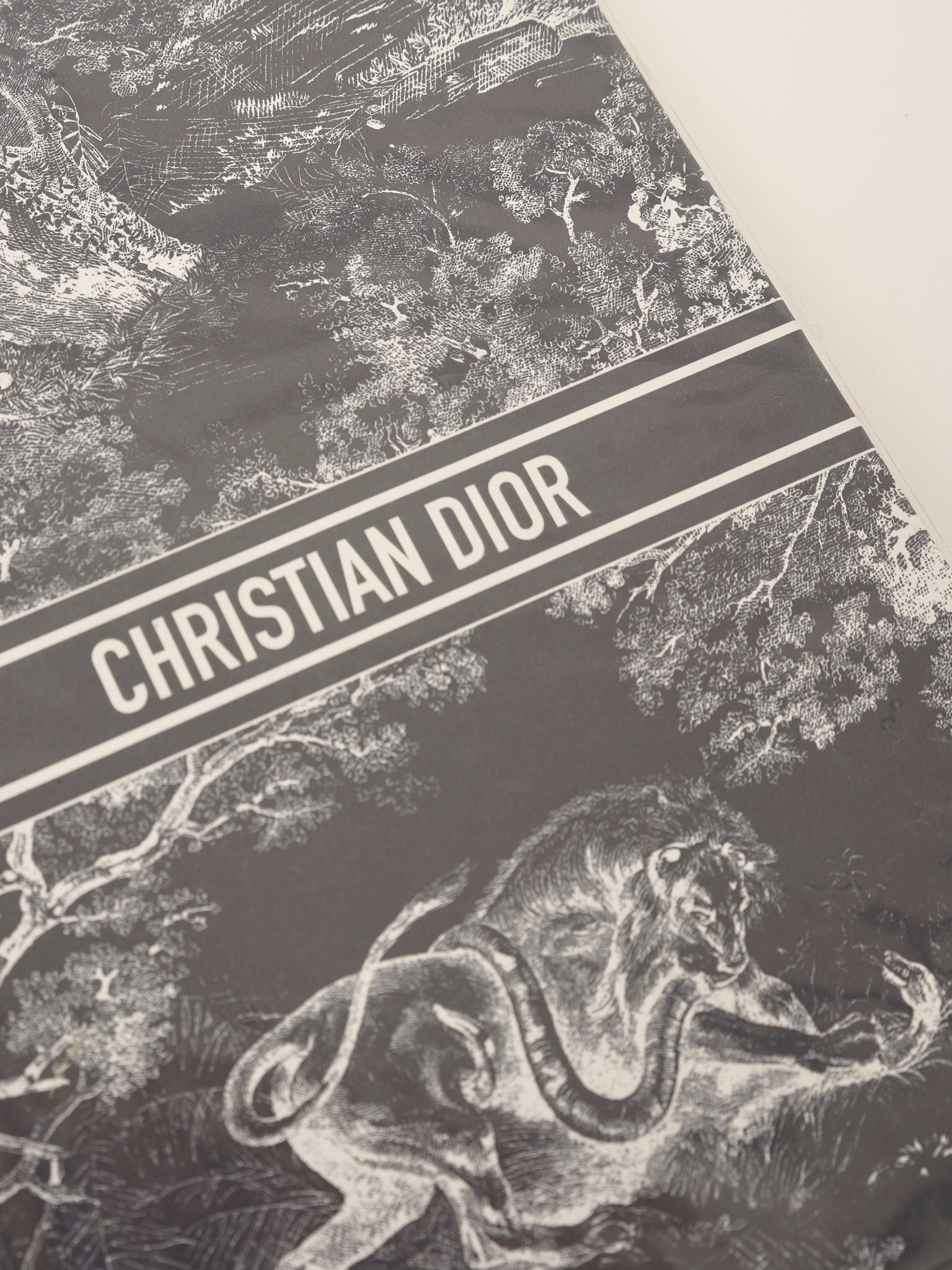 Dior , фото 3