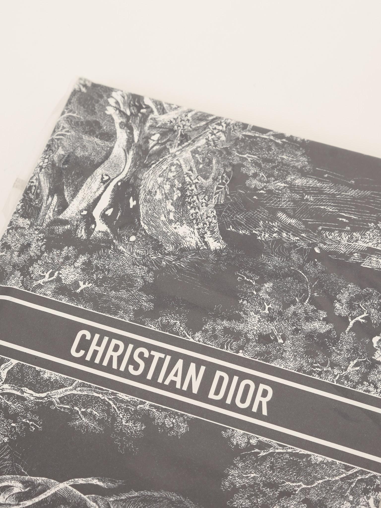 Dior , фото 5