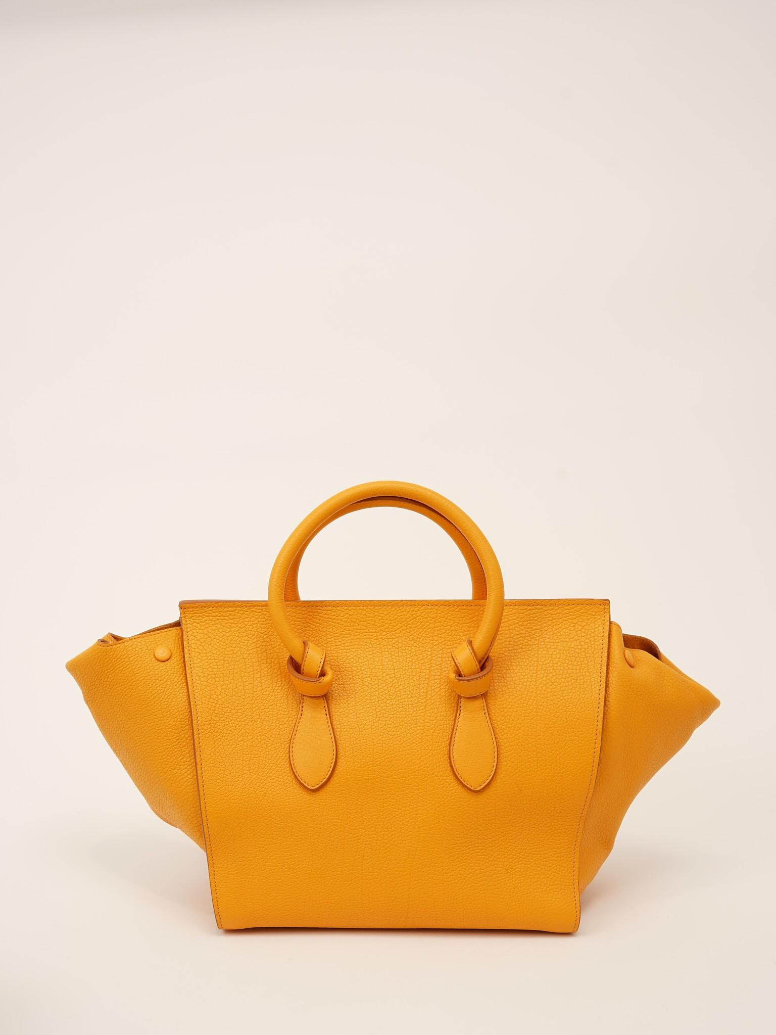 Celine Tie , фото 4