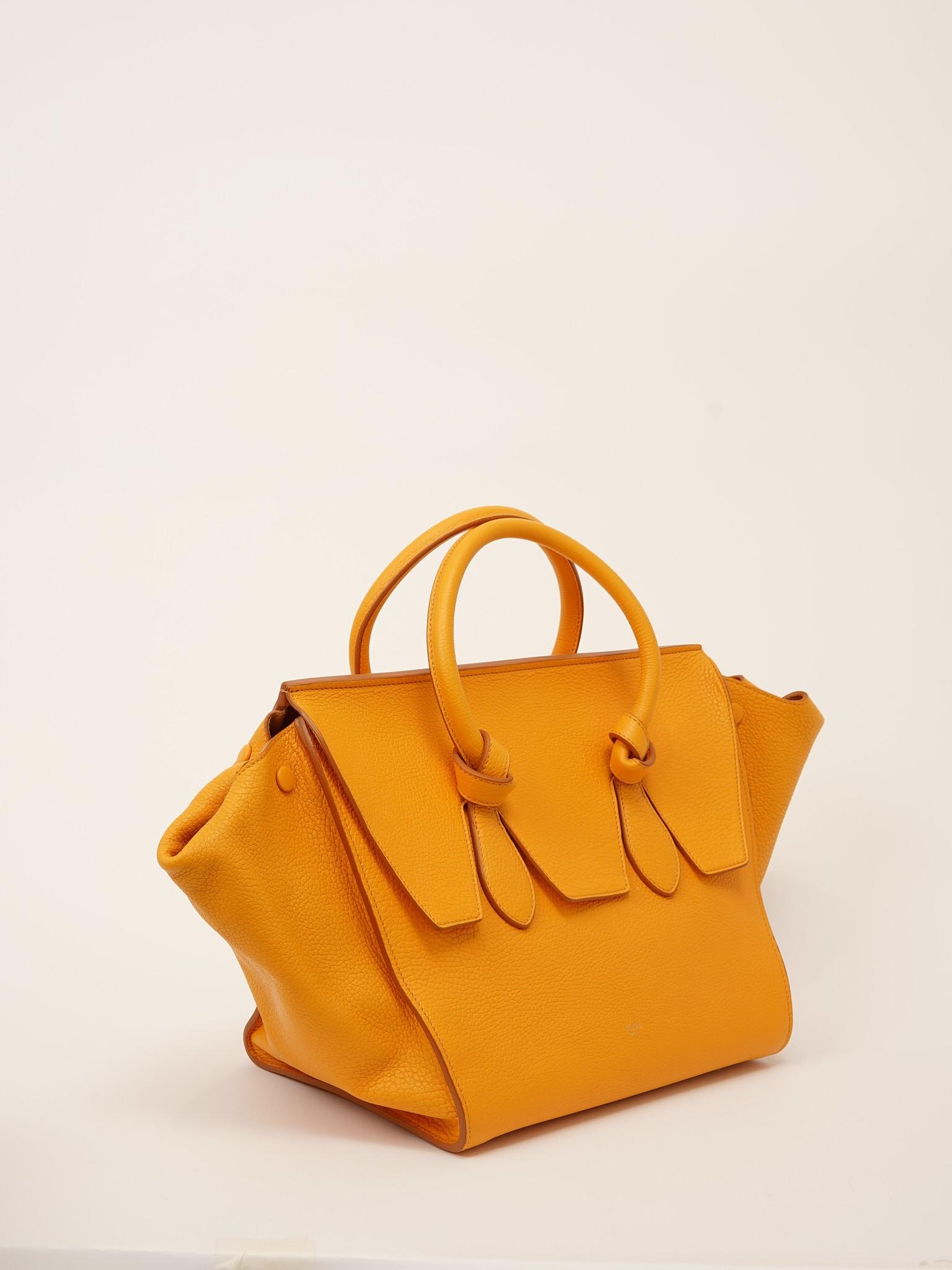 Celine Tie , фото 3