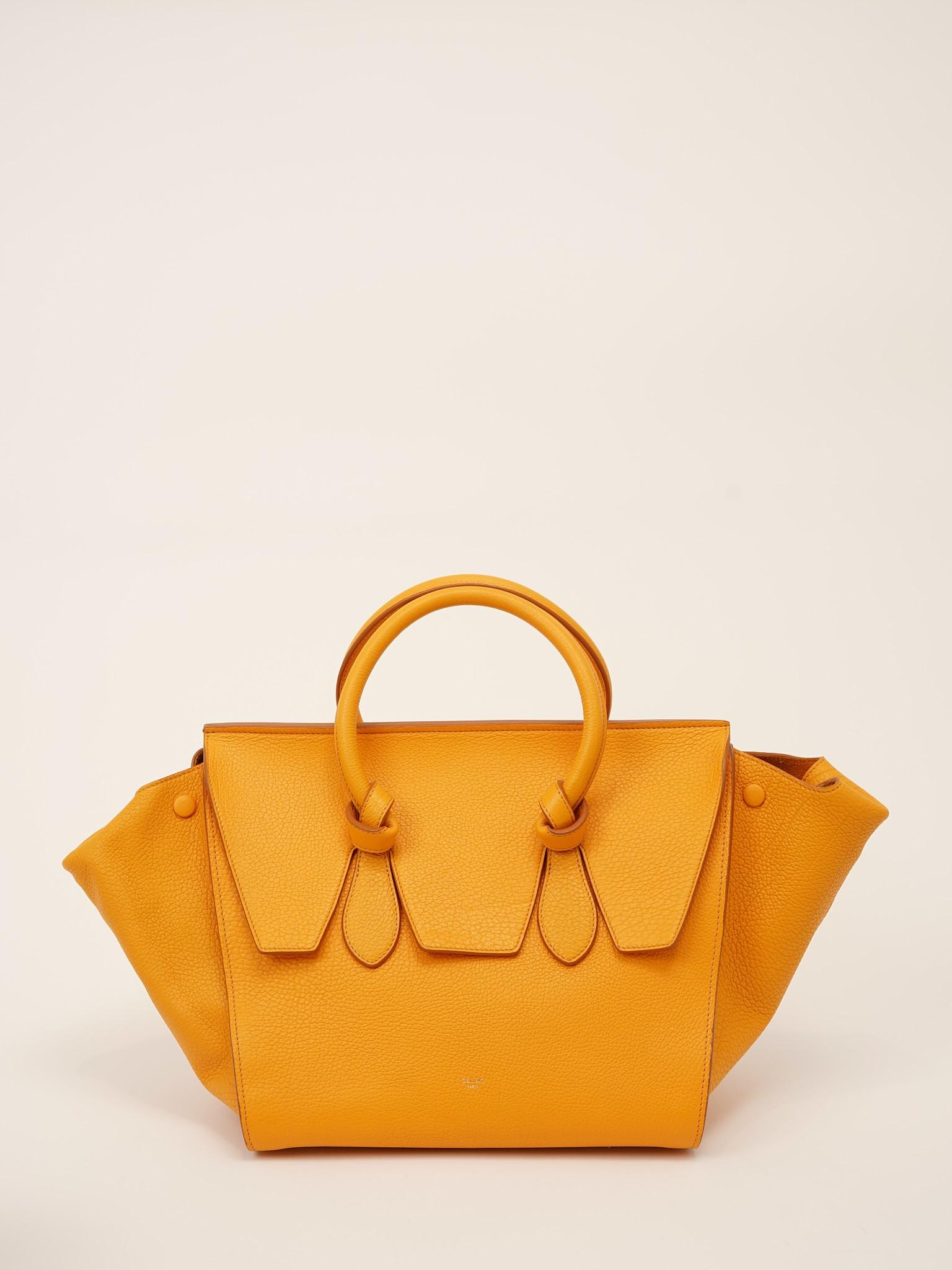 Celine Tie , фото 1