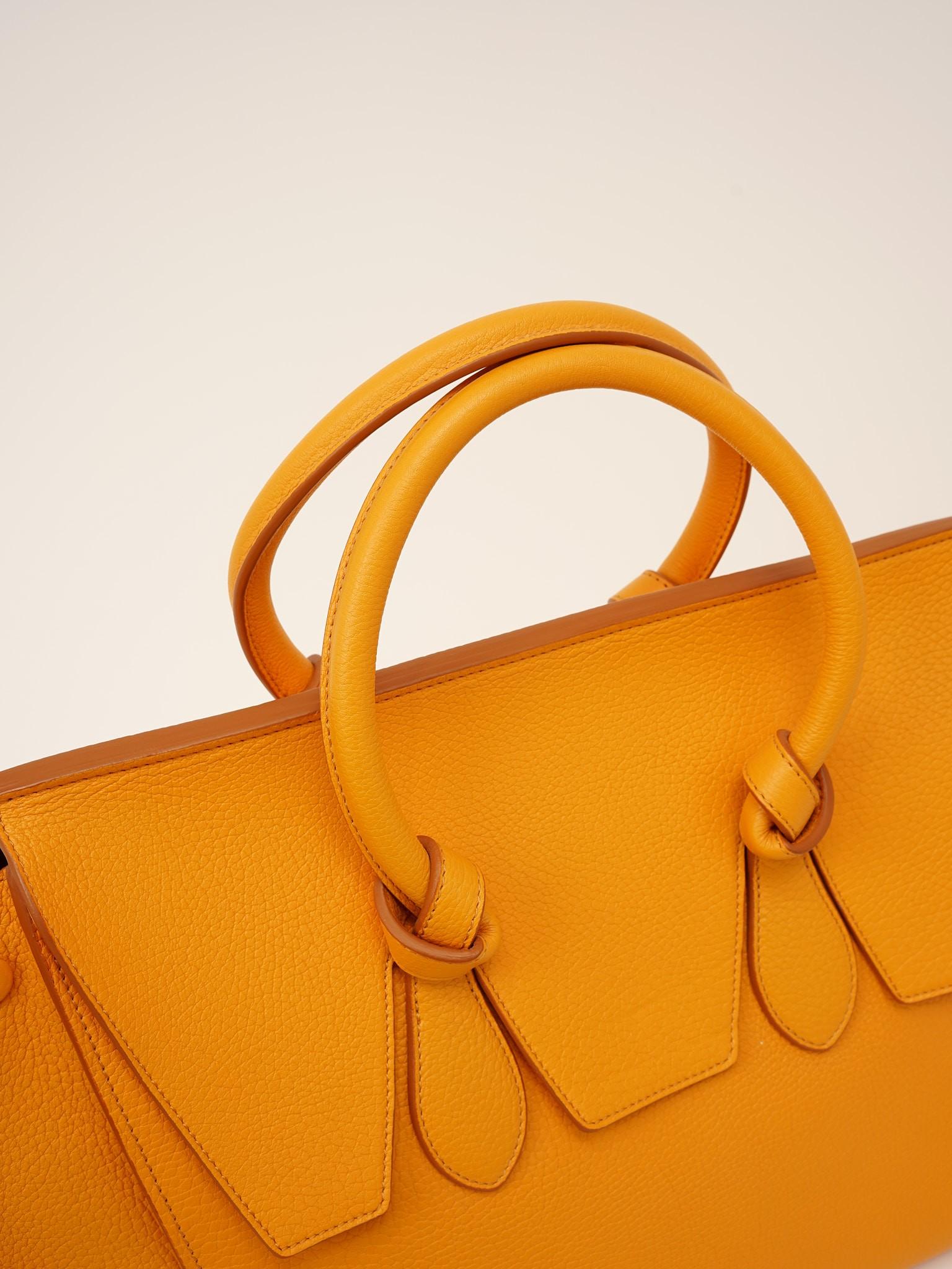 Celine Tie , фото 5