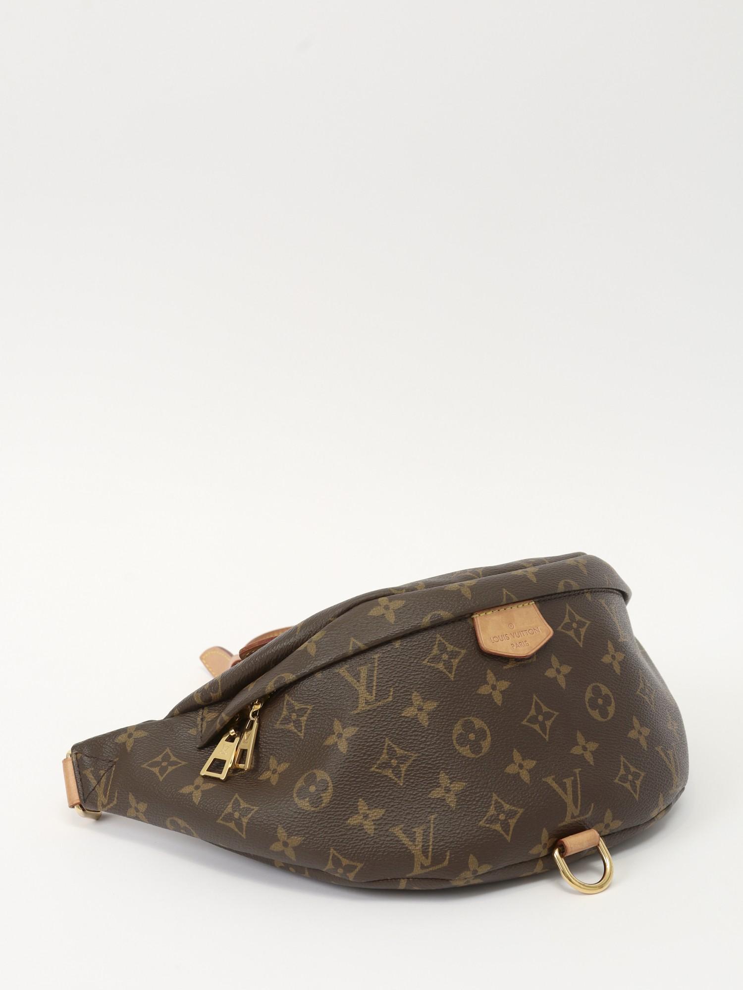 Louis Vuitton Bumbag , фото 3