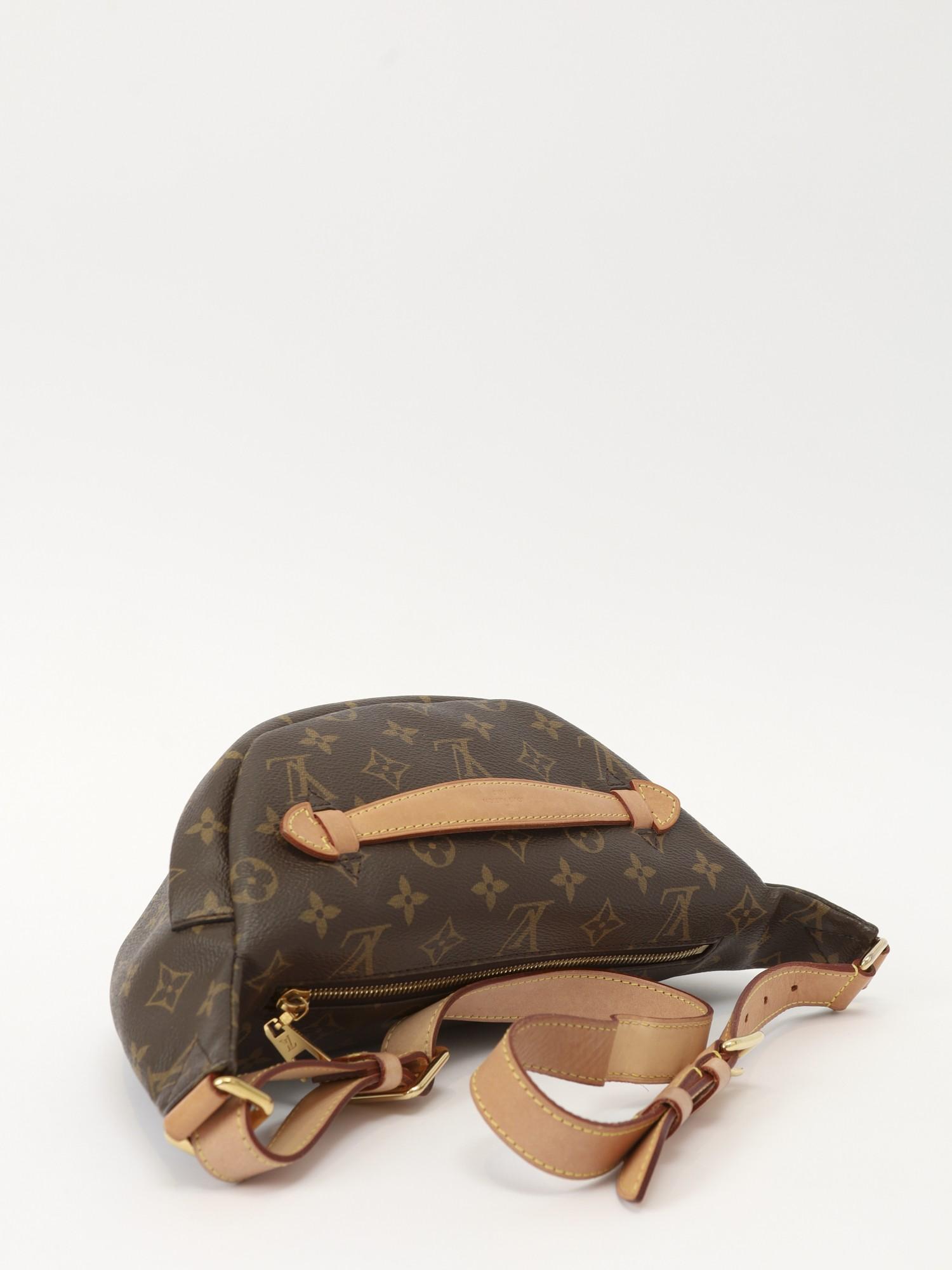Louis Vuitton Bumbag , фото 4