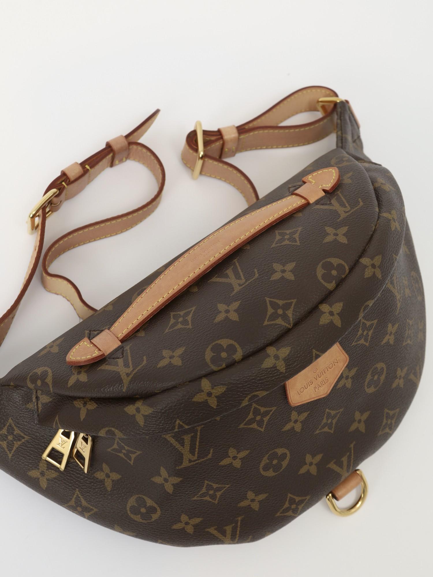 Louis Vuitton Bumbag , фото 5