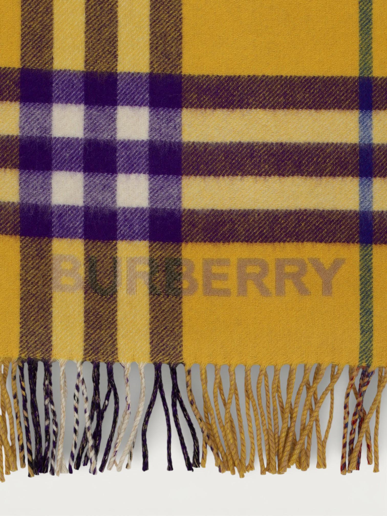 Burberry , фото 3