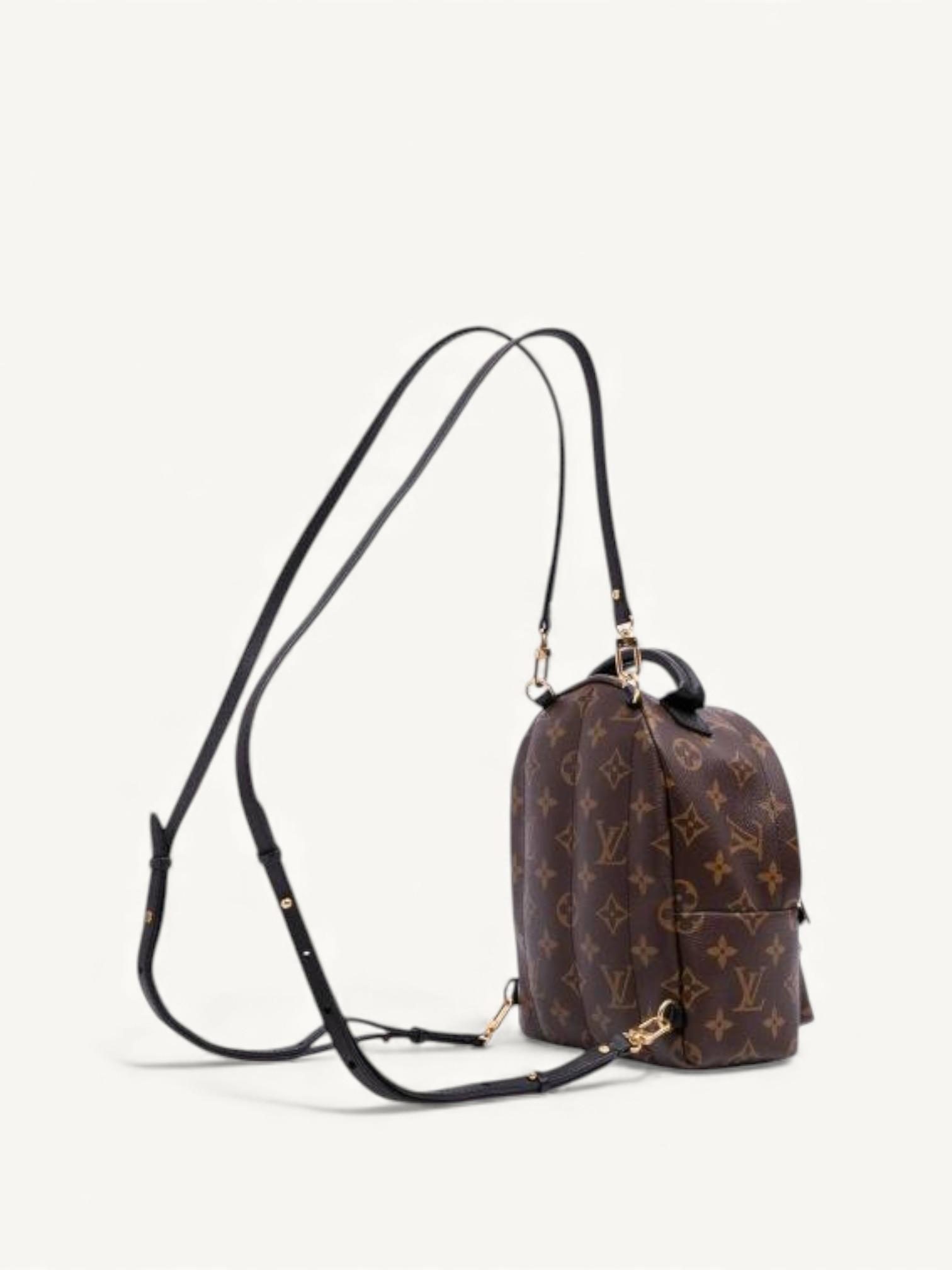 Louis Vuitton Palm Springs , фото 4