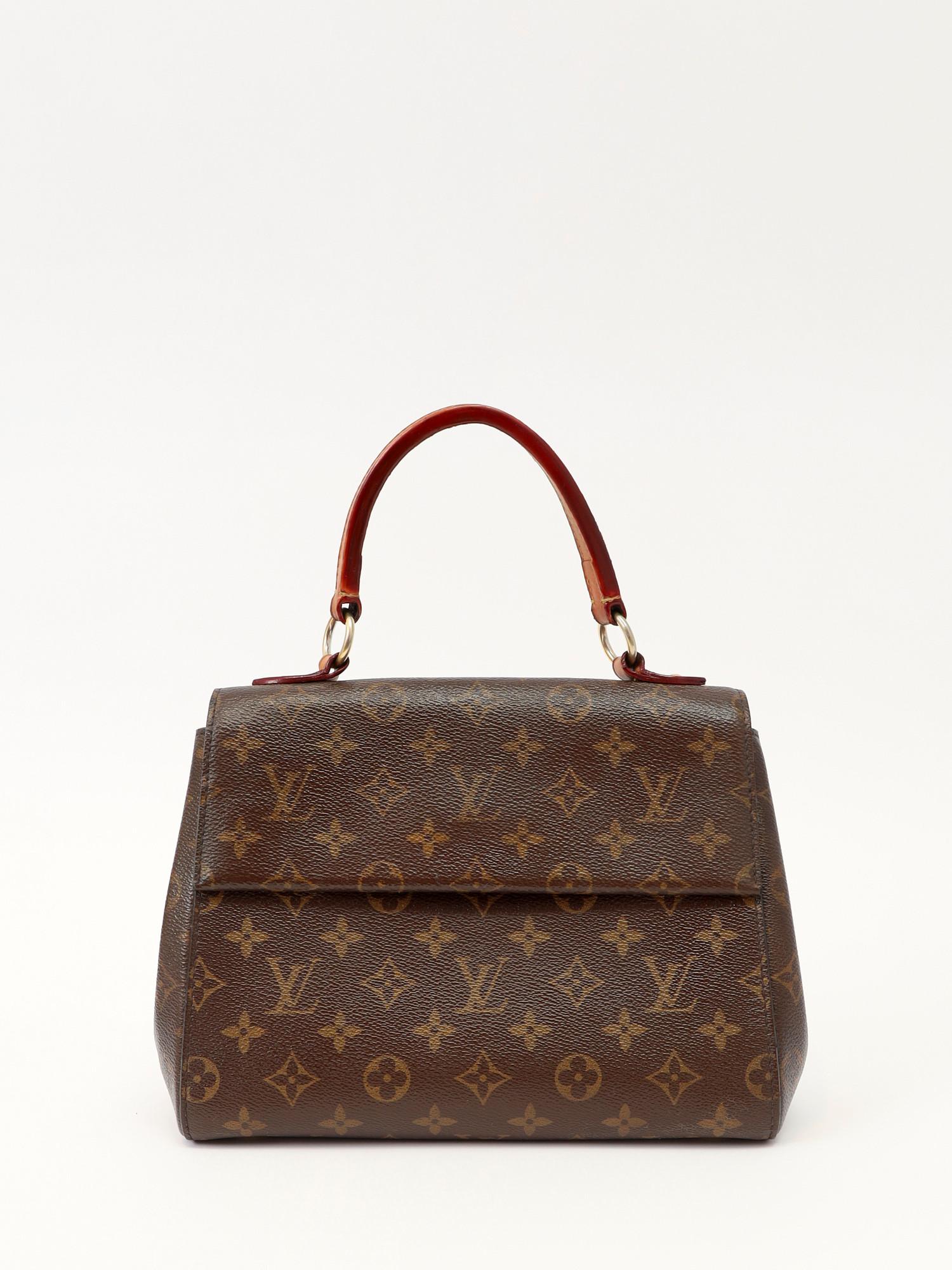 Louis Vuitton Cluny , фото 1
