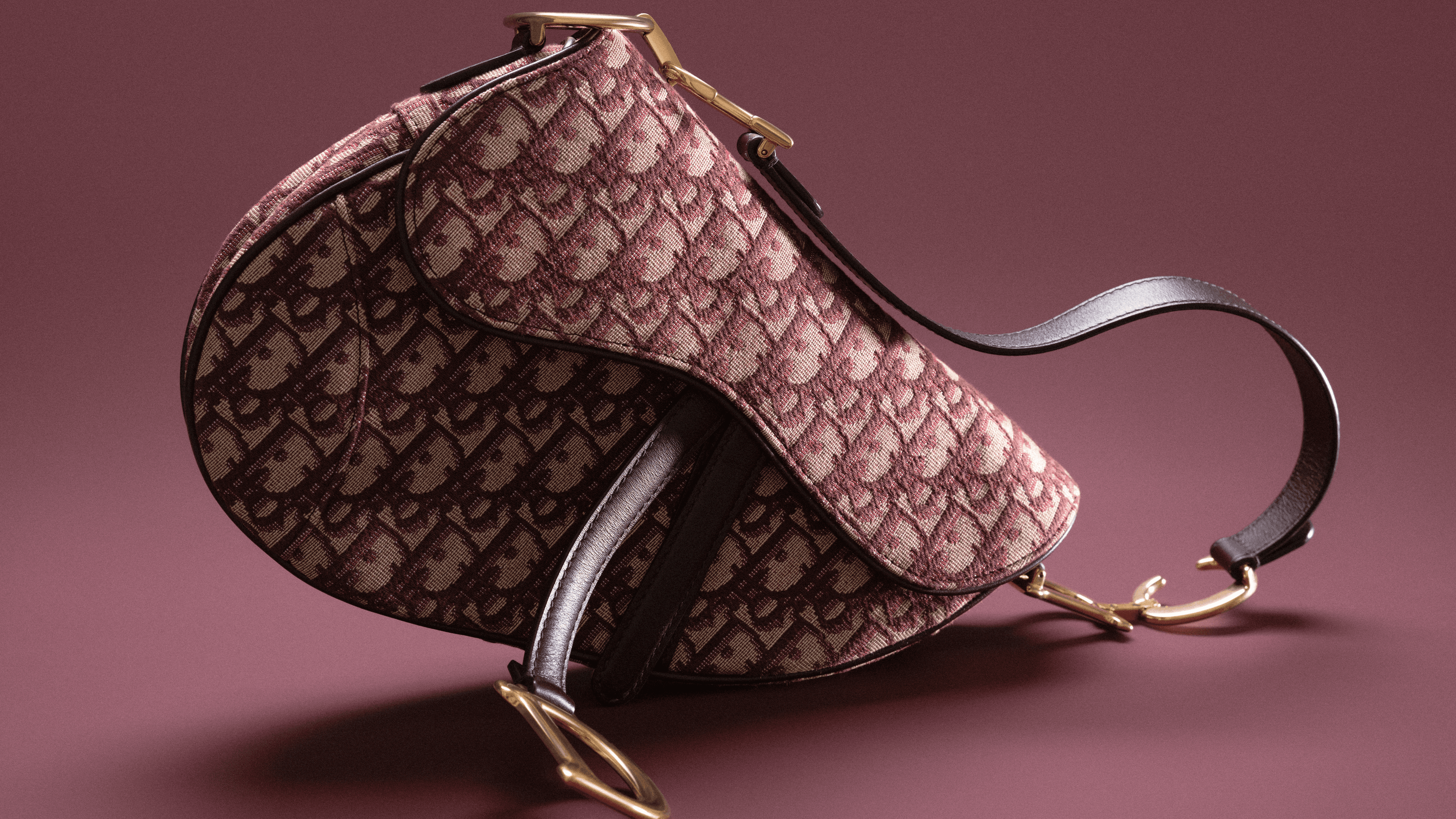 Dior Saddle Bag