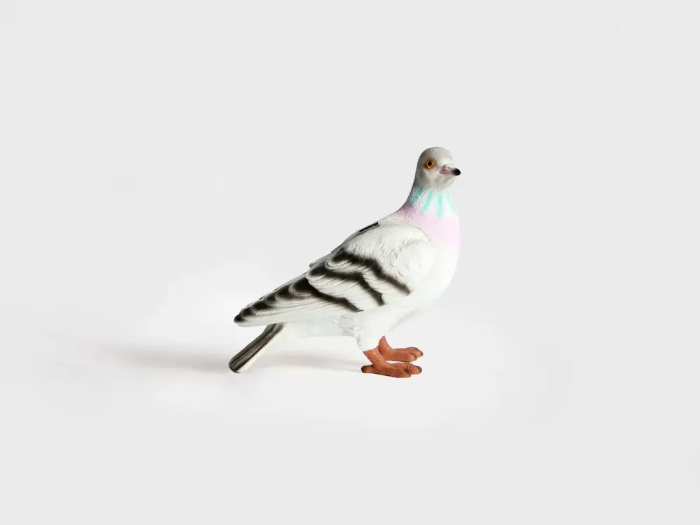 JW Anderson, источник: jwanderson.com