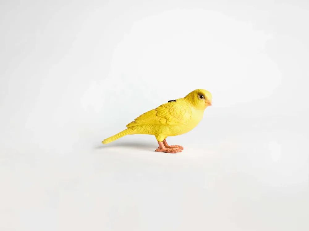 JW Anderson, источник: jwanderson.com